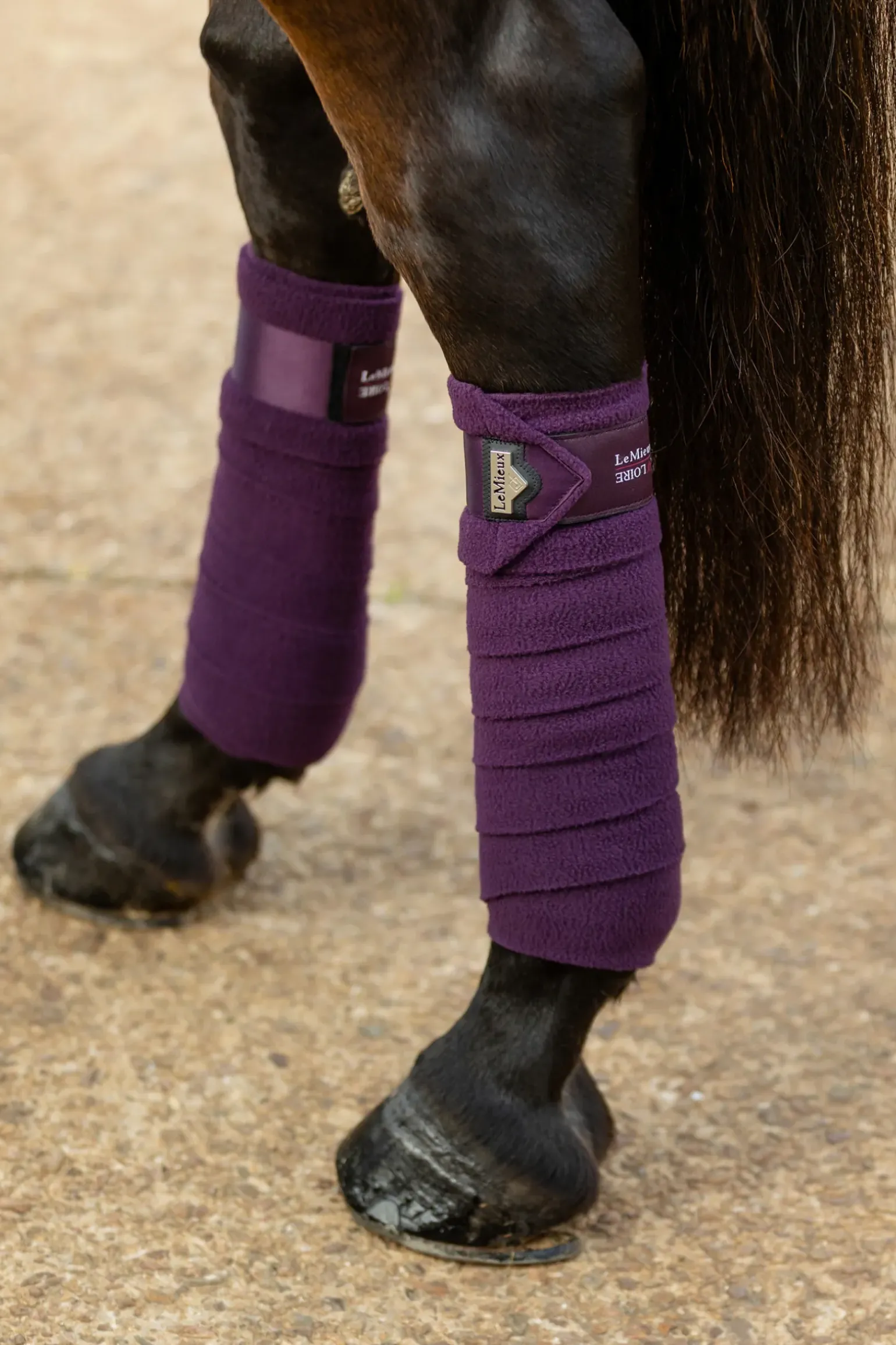 Bandes De Polo En Satin Loire Lemieux