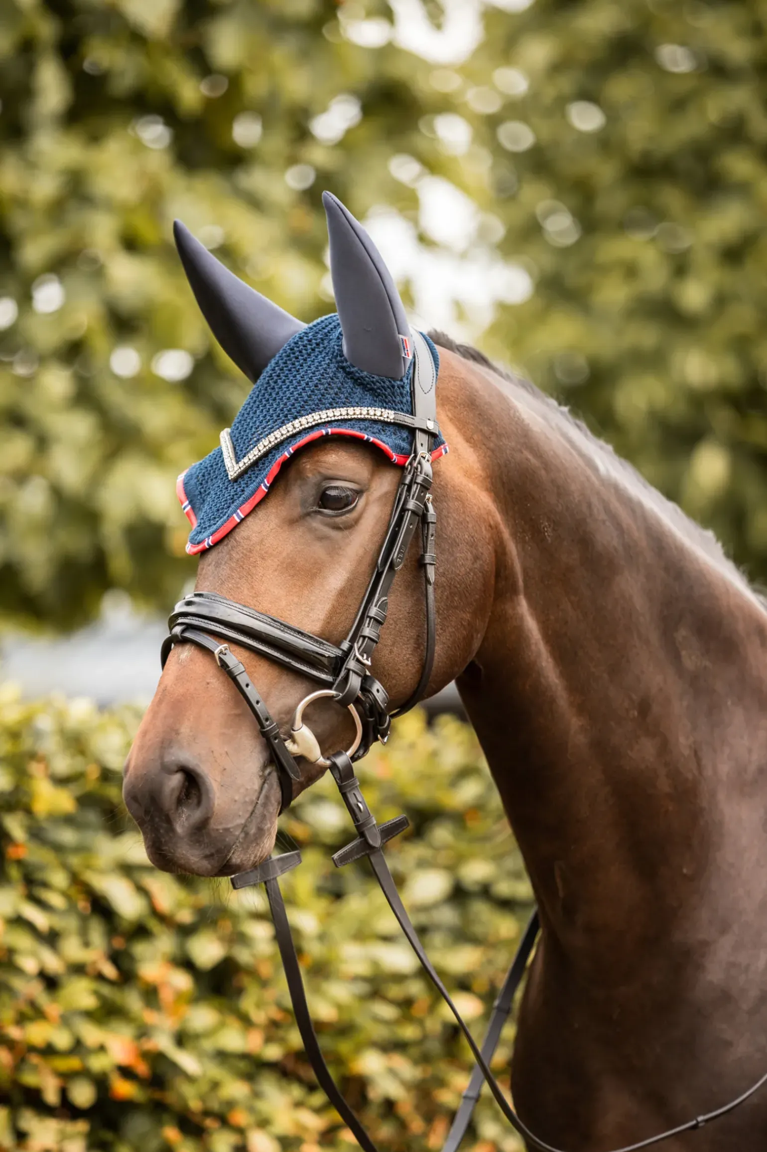 Bonnet Anti-Mouches B Vertigo Amory