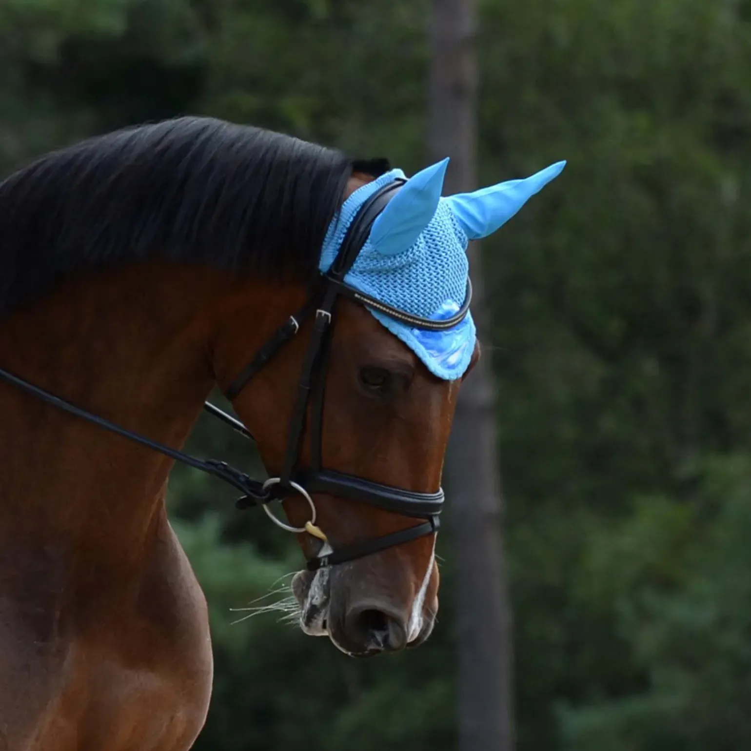 Bonnet Anti-Mouches Weatherbeeta Prime Marble