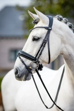Bride Dressage Classique Lemieux