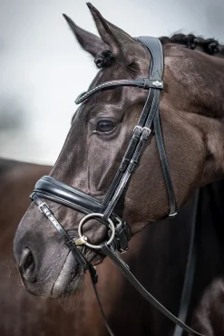 Bride Dressage Classique Lemieux