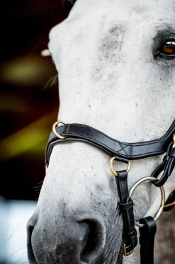 Bridon Horseware Rambo Micklem 2 Multi
