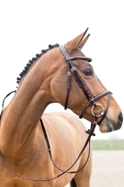 Bridon Matelasse A Muserolle Combinee Horze Constance