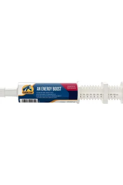 Cavalor An Energy Boost (6 Seringues De 60 G)
