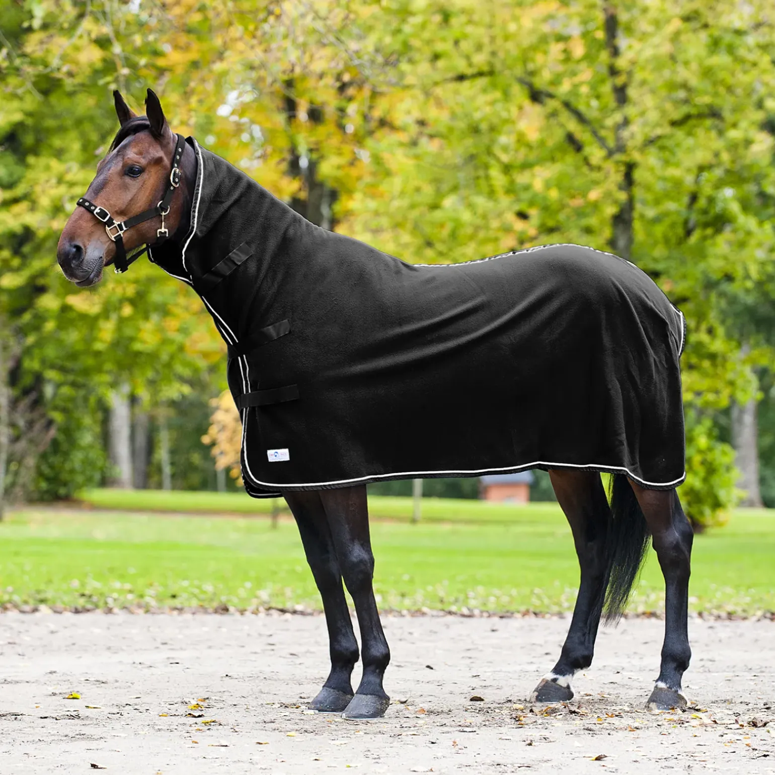 Chemise Avec Haute Encolure Finntack Pro