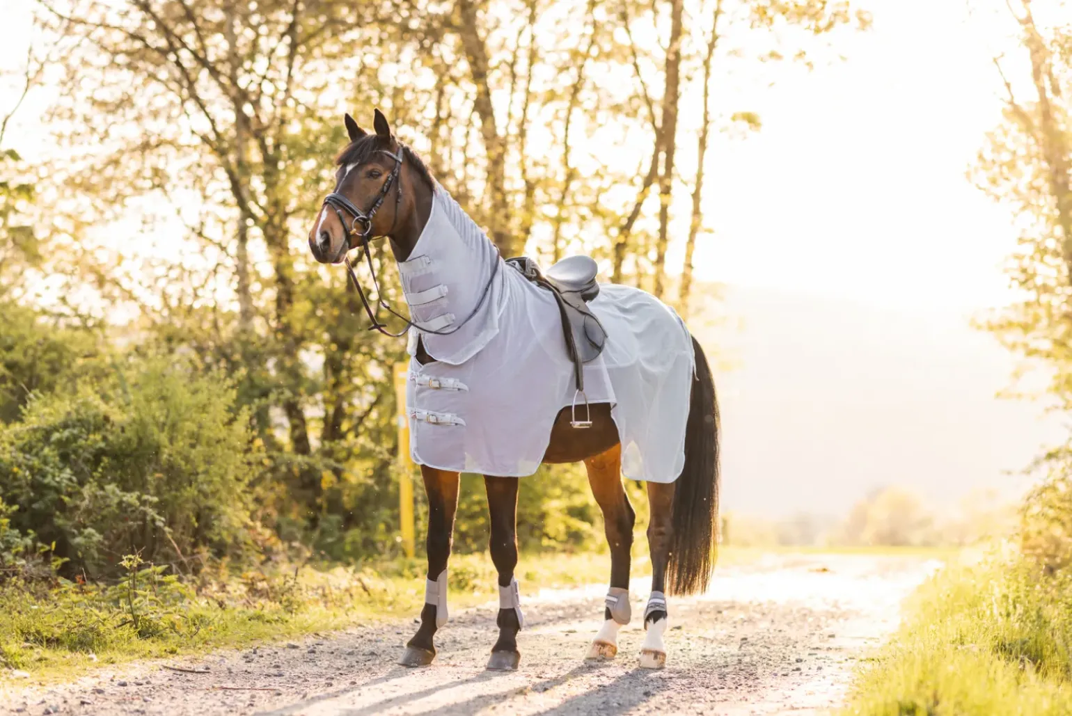 Chemise Couverture Anti-Mouches Horze Orleans Quarter Pour Travail Monte