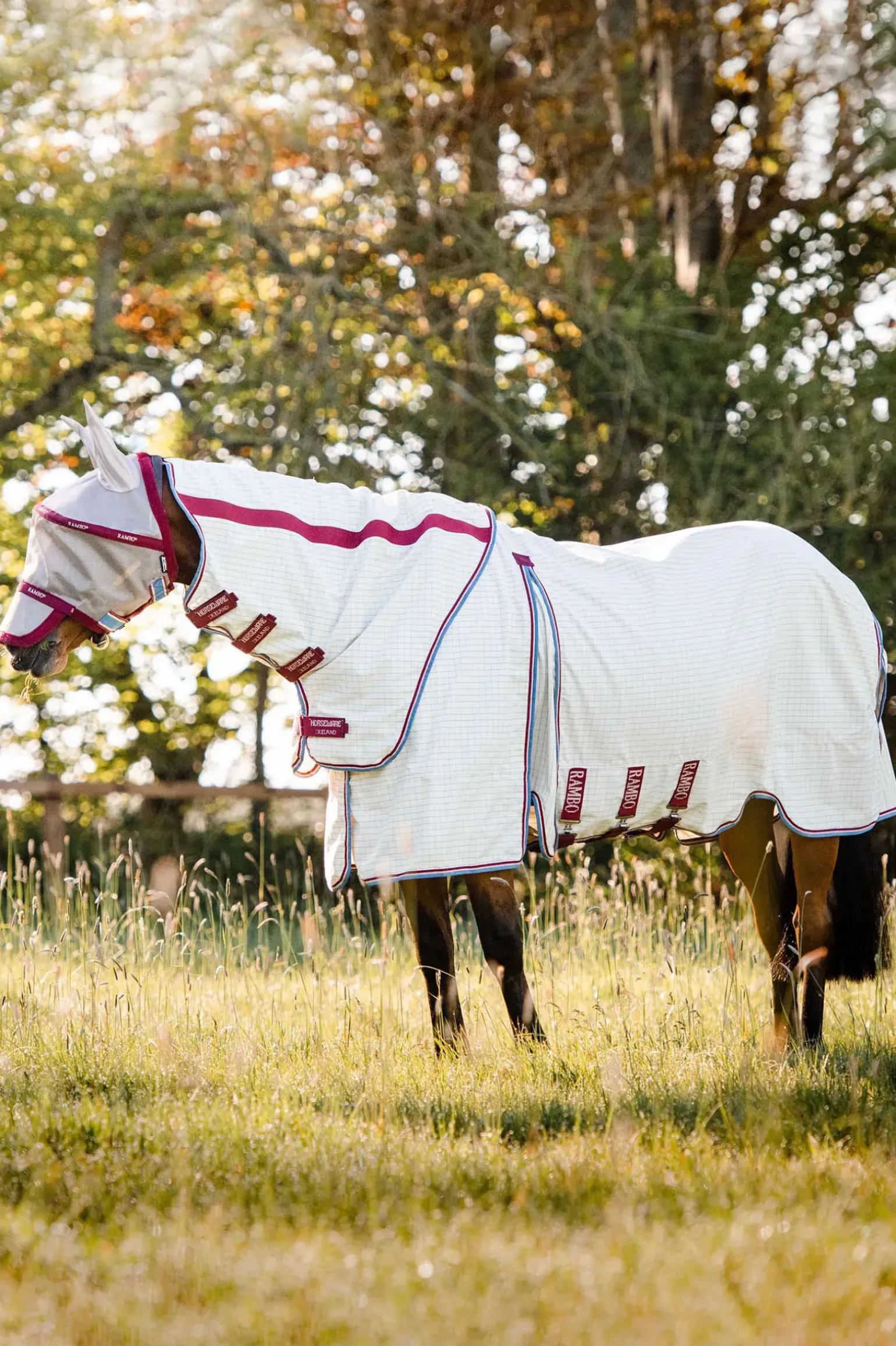 Chemise D'Ete Horseware Rambo Optimo Supreme