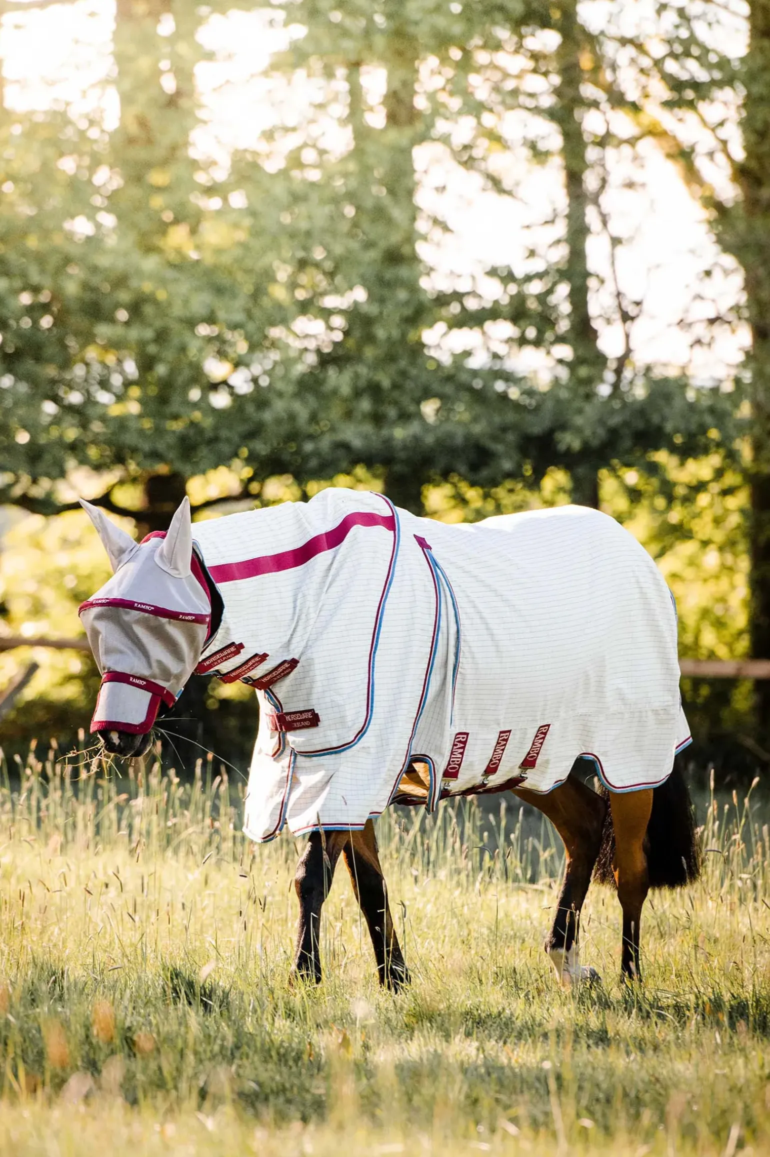 Chemise D'Ete Horseware Rambo Optimo Supreme
