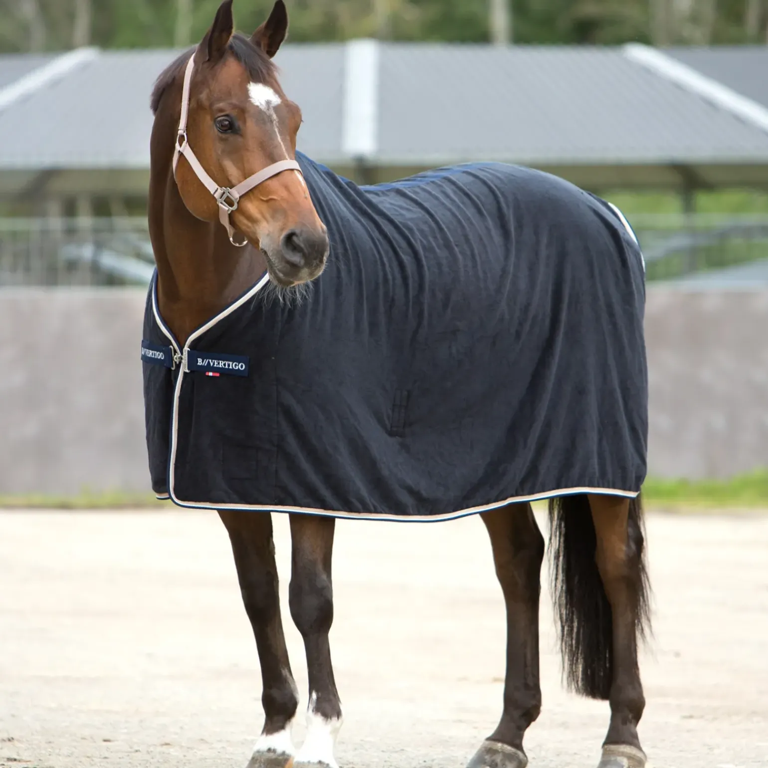 Chemise Eponge Walter B Vertigo