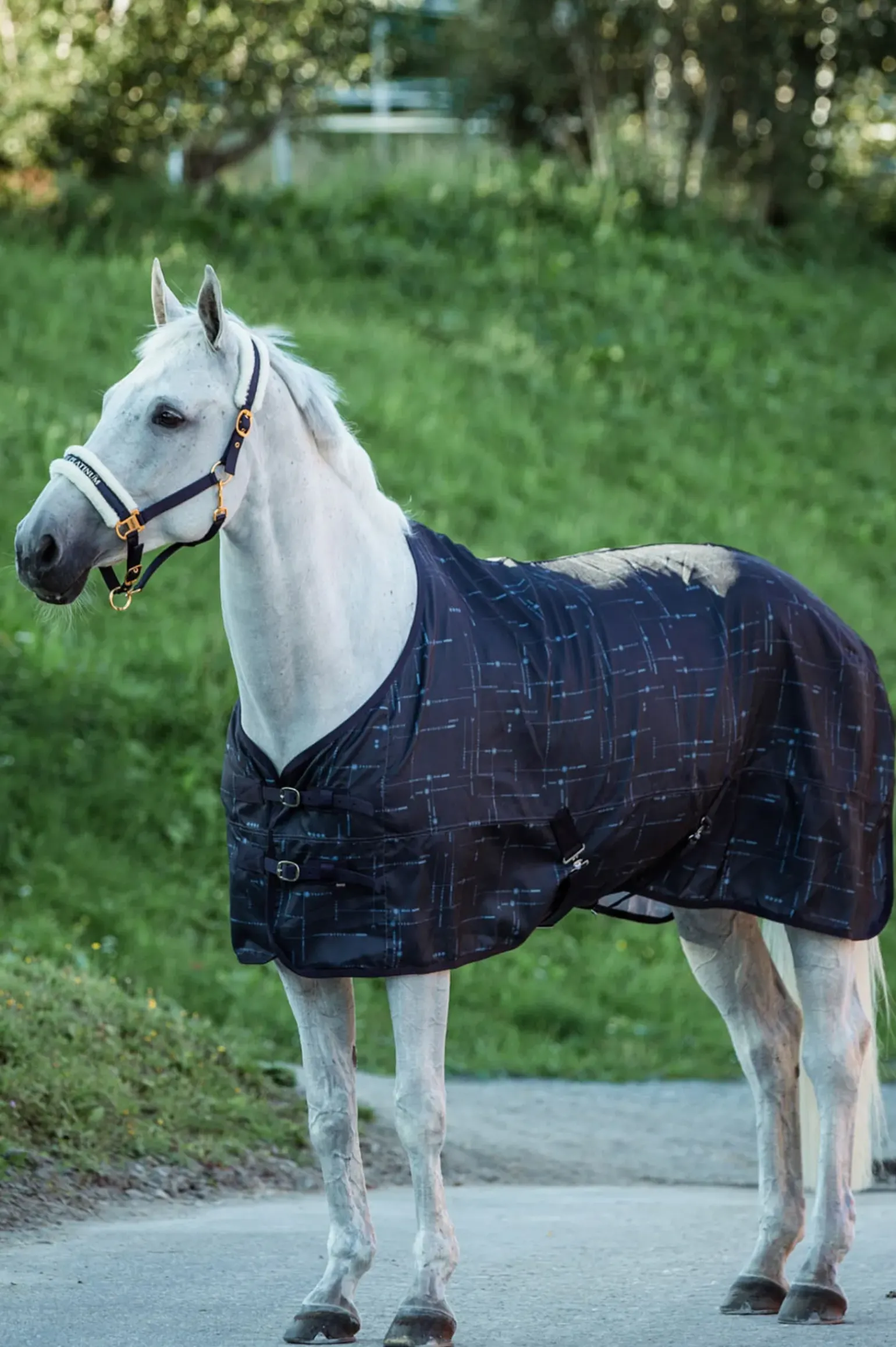 Chemise Horze Fairfax Anti Uv