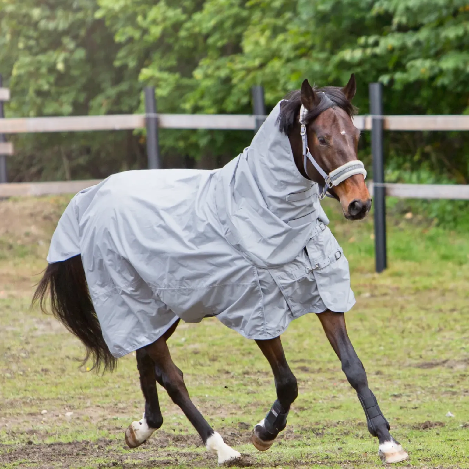 Chemise Horze Nevada 600 D Averses, 0G