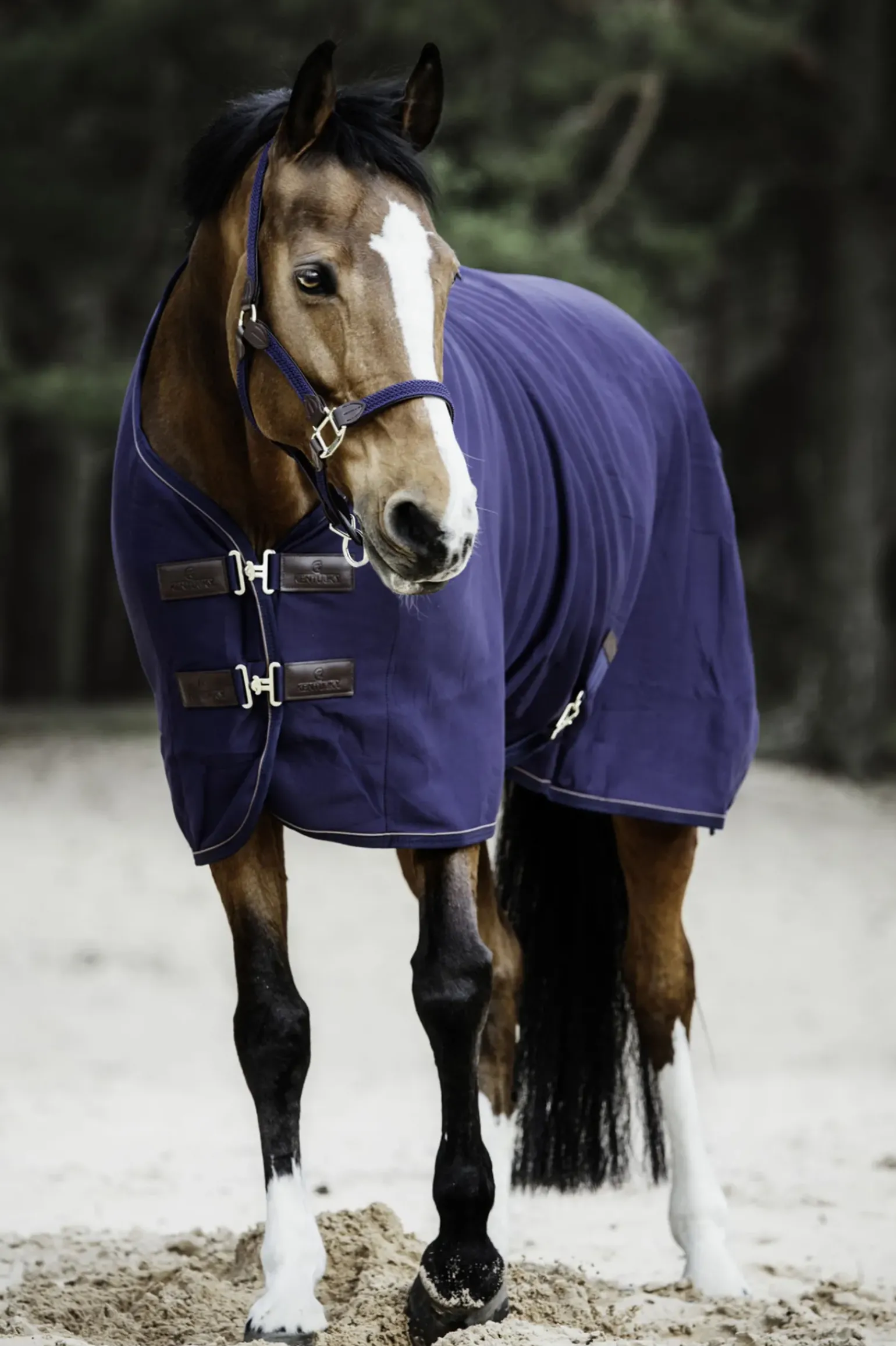 Chemise Sechante Fleece Kentucky Horsewear
