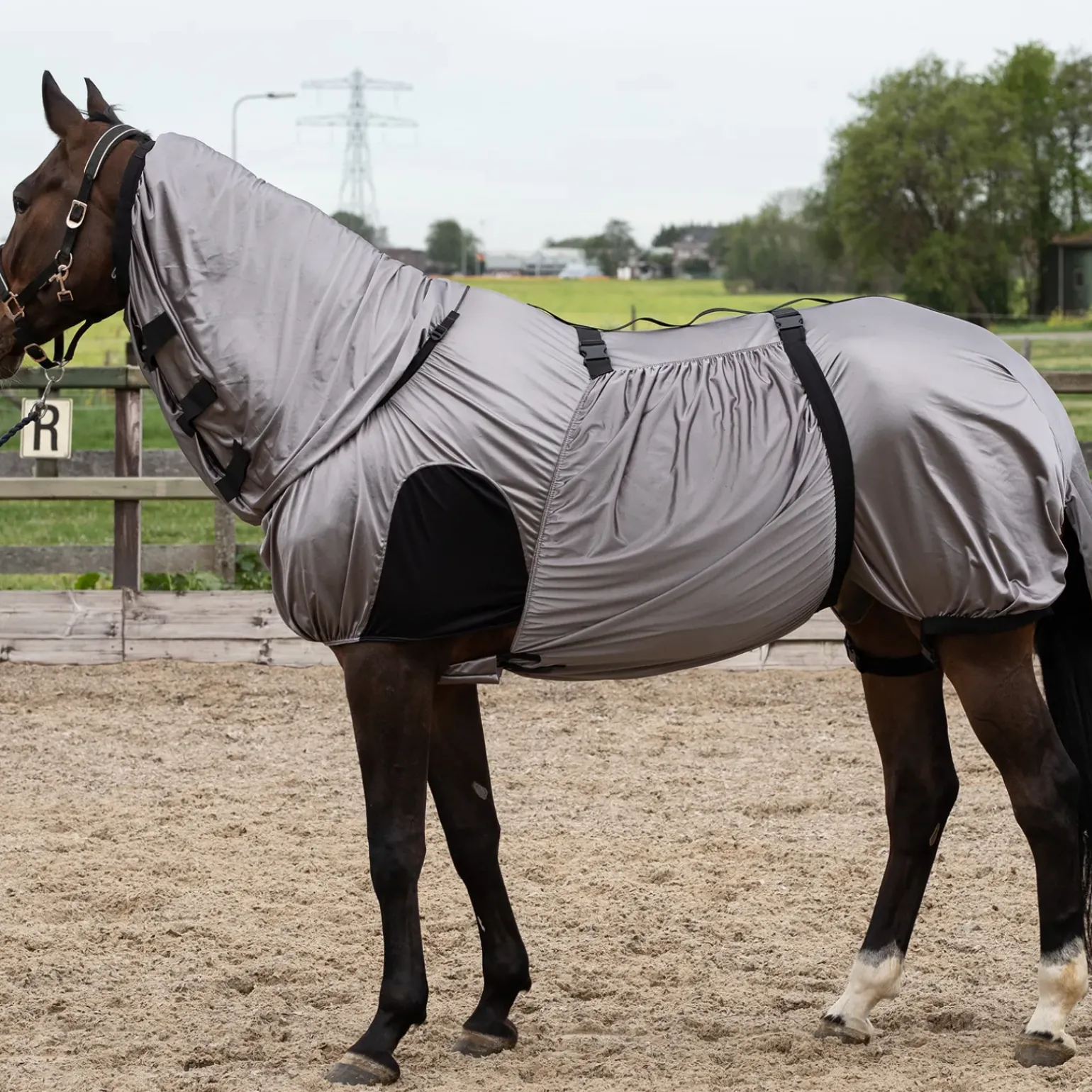 Couverture Anti Eczéma Et Anti-Mouches Harry'S Horse