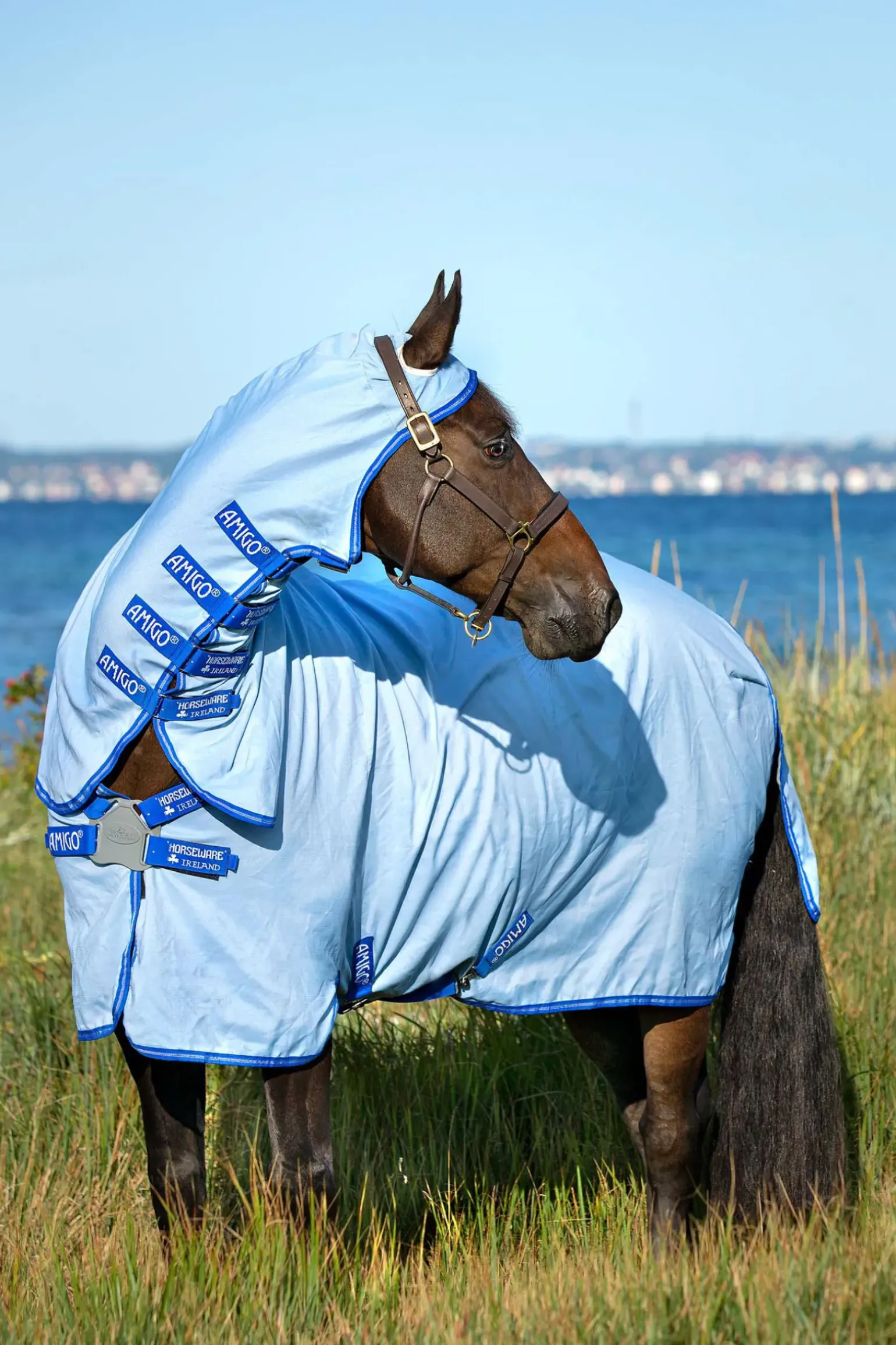 Couverture Anti-Eczéma Horseware Amigo Avec Couvre-Encolure Fixe, Poney