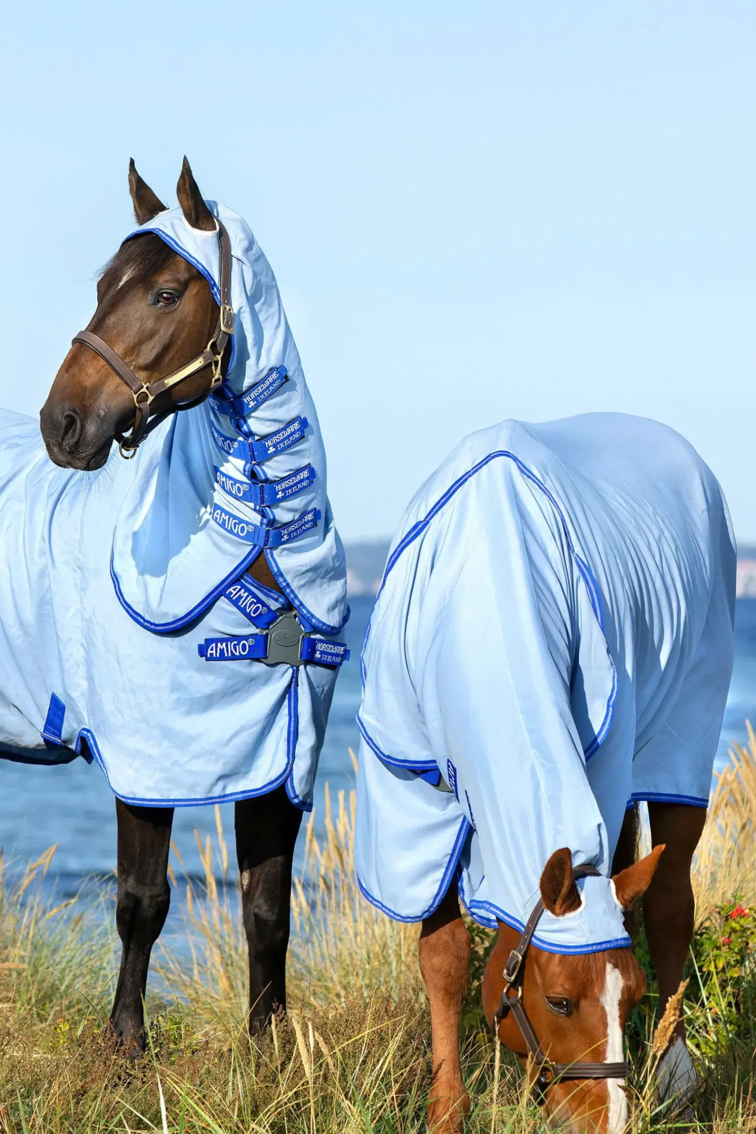 Couverture Anti-Eczéma Horseware Amigo Avec Couvre-Encolure Fixe, Poney