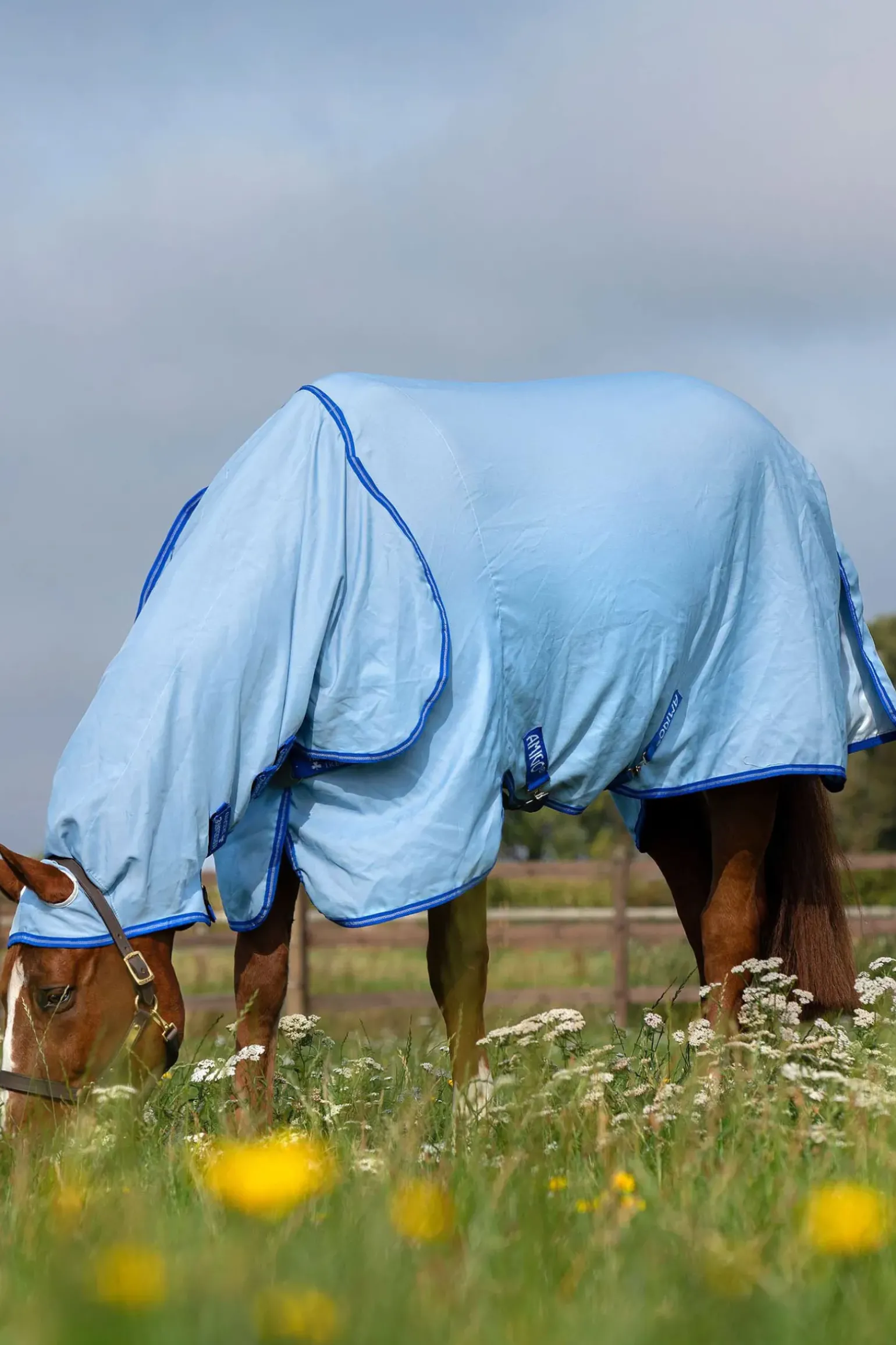 Couverture Anti-Eczéma Horseware Amigo Avec Couvre-Encolure Fixe, Poney