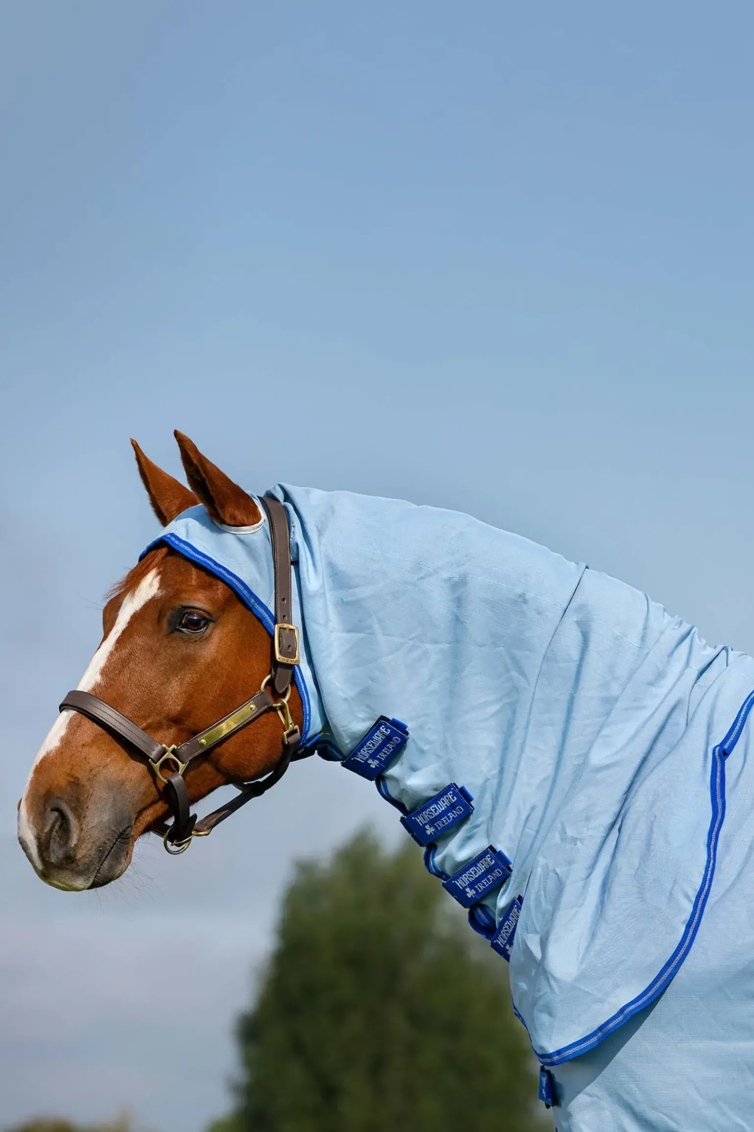 Couverture Anti-Eczéma Horseware Amigo Avec Couvre-Encolure Fixe, Poney