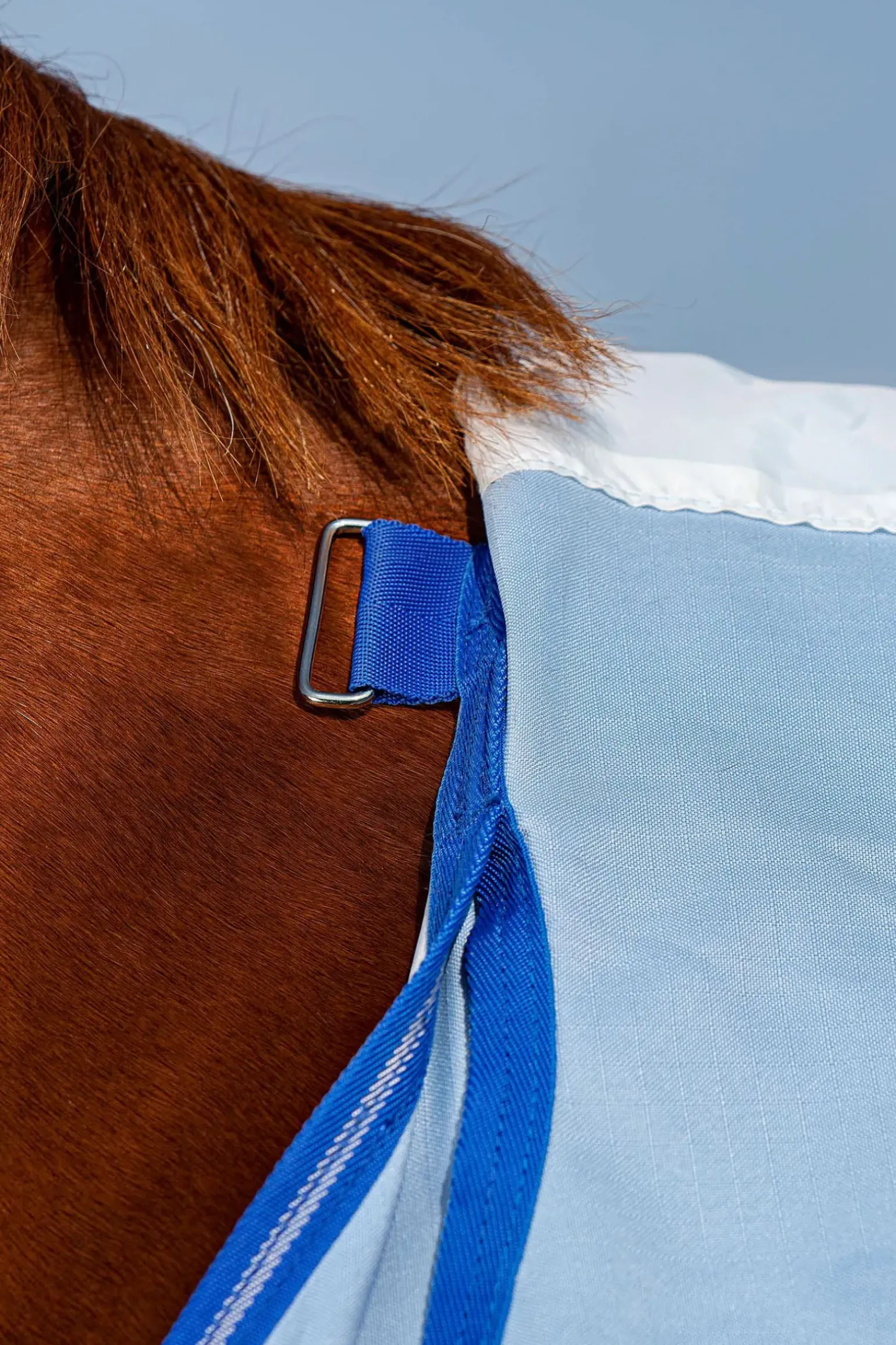 Couverture Anti-Eczéma Horseware Amigo Avec Couvre-Encolure Fixe, Poney