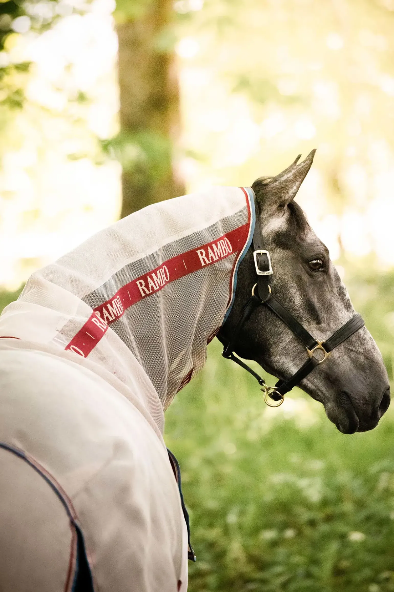 Couverture Anti-Mouches Avec Disqye Horseware Rambo Protector