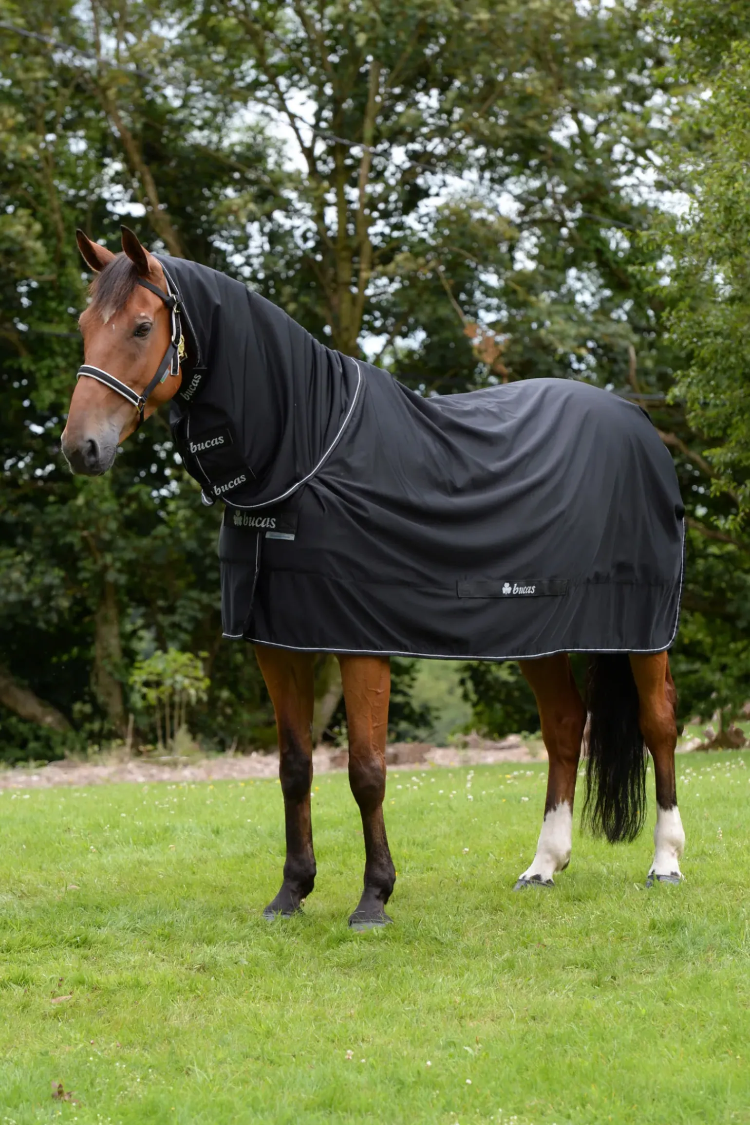 Couverture Bucas Shamrock Power Full Neck, La Doublure Stay-Dry