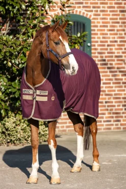Couverture D'écurie Horseware Amigo