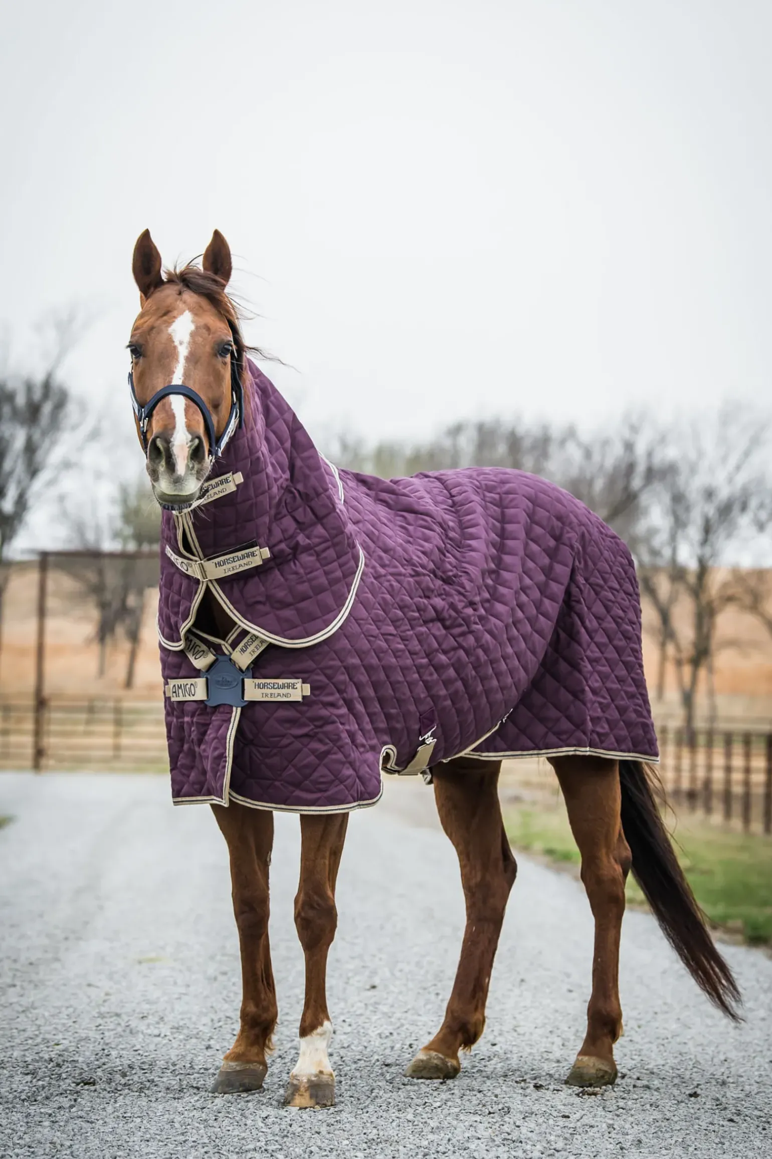 Couverture D'écurie Horseware Amigo Stable Plus Medium Disque Avec Couvre-Encolure Amovible, 200 G