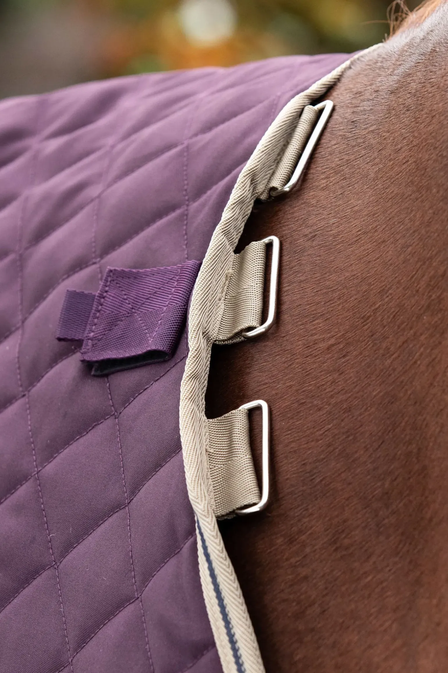 Couverture D'écurie Horseware Amigo Stable Plus Medium Disque Avec Couvre-Encolure Amovible, 200 G