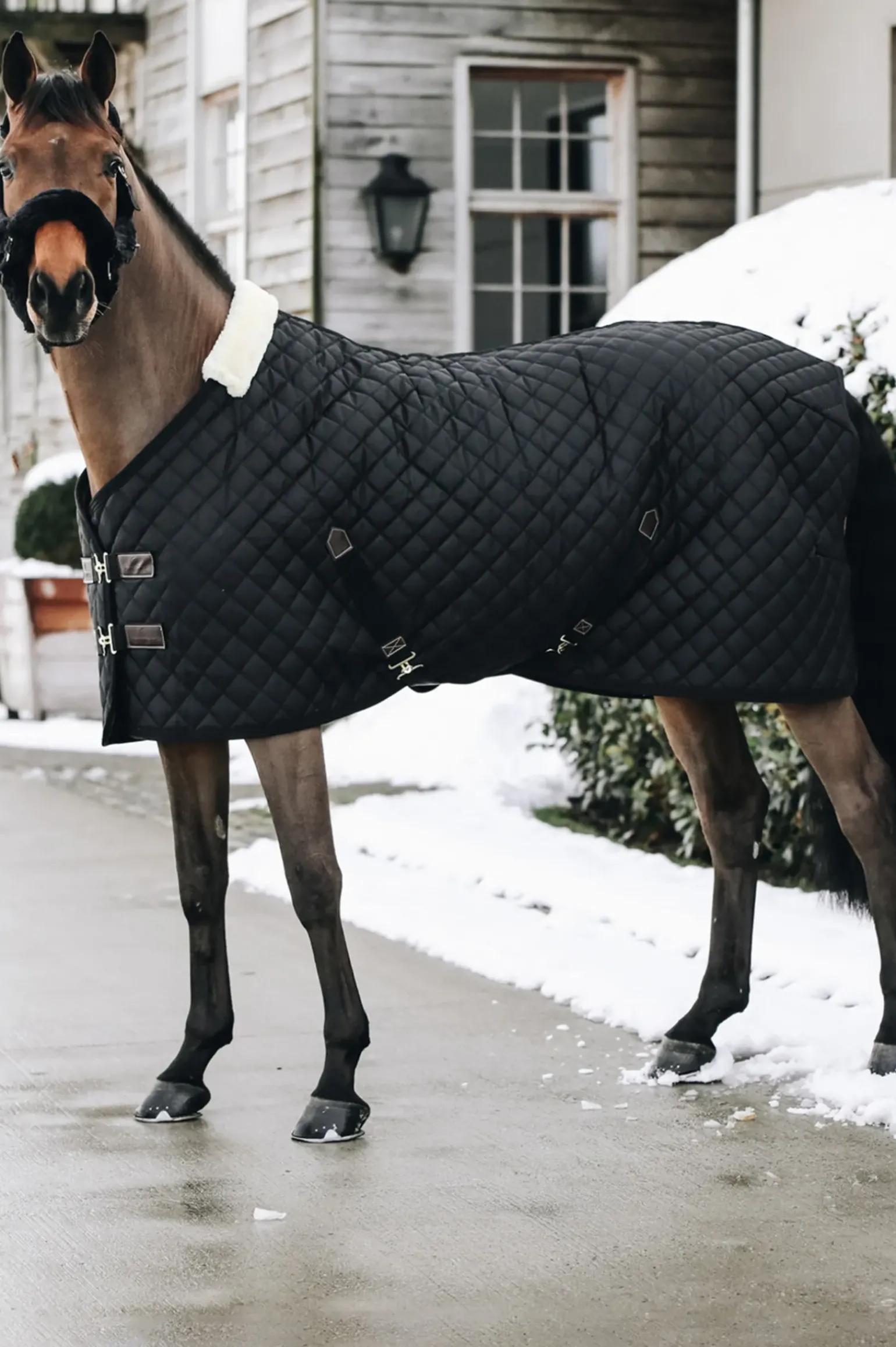 Couverture D'écurie Kentucky Horsewear 400G