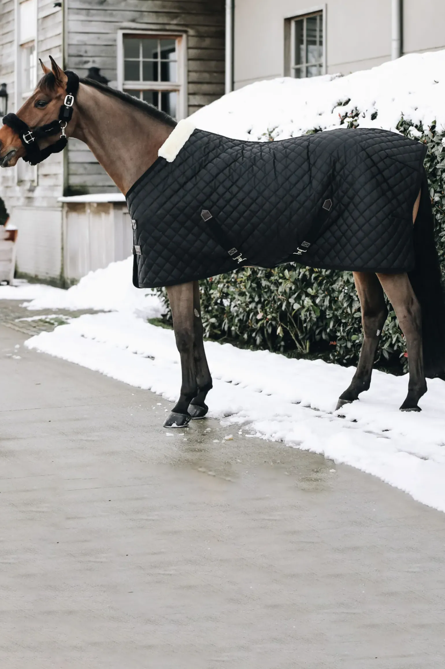 Couverture D'écurie Kentucky Horsewear 400G