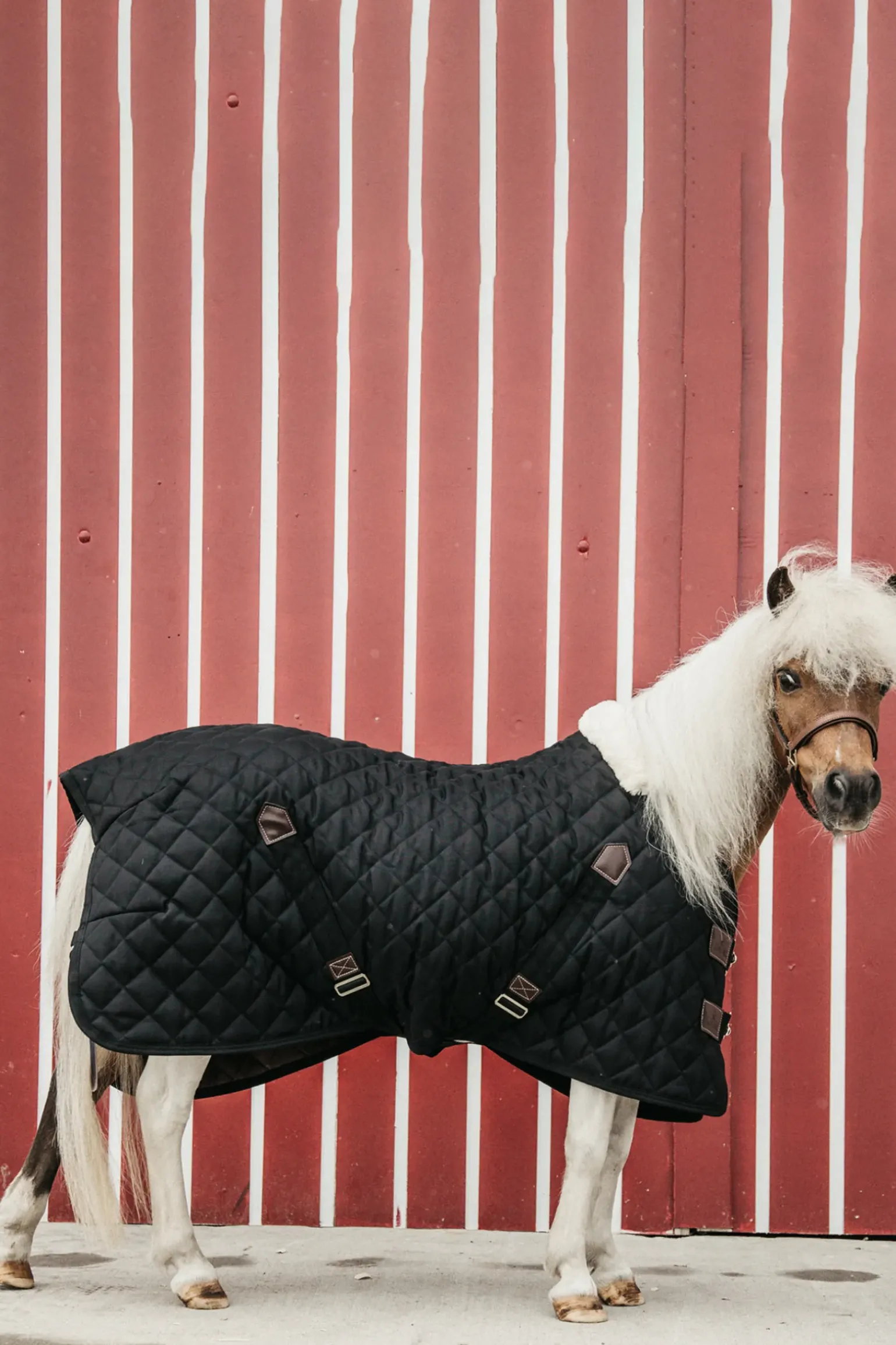 Couverture D'écurie Kentucky Horsewear 400G