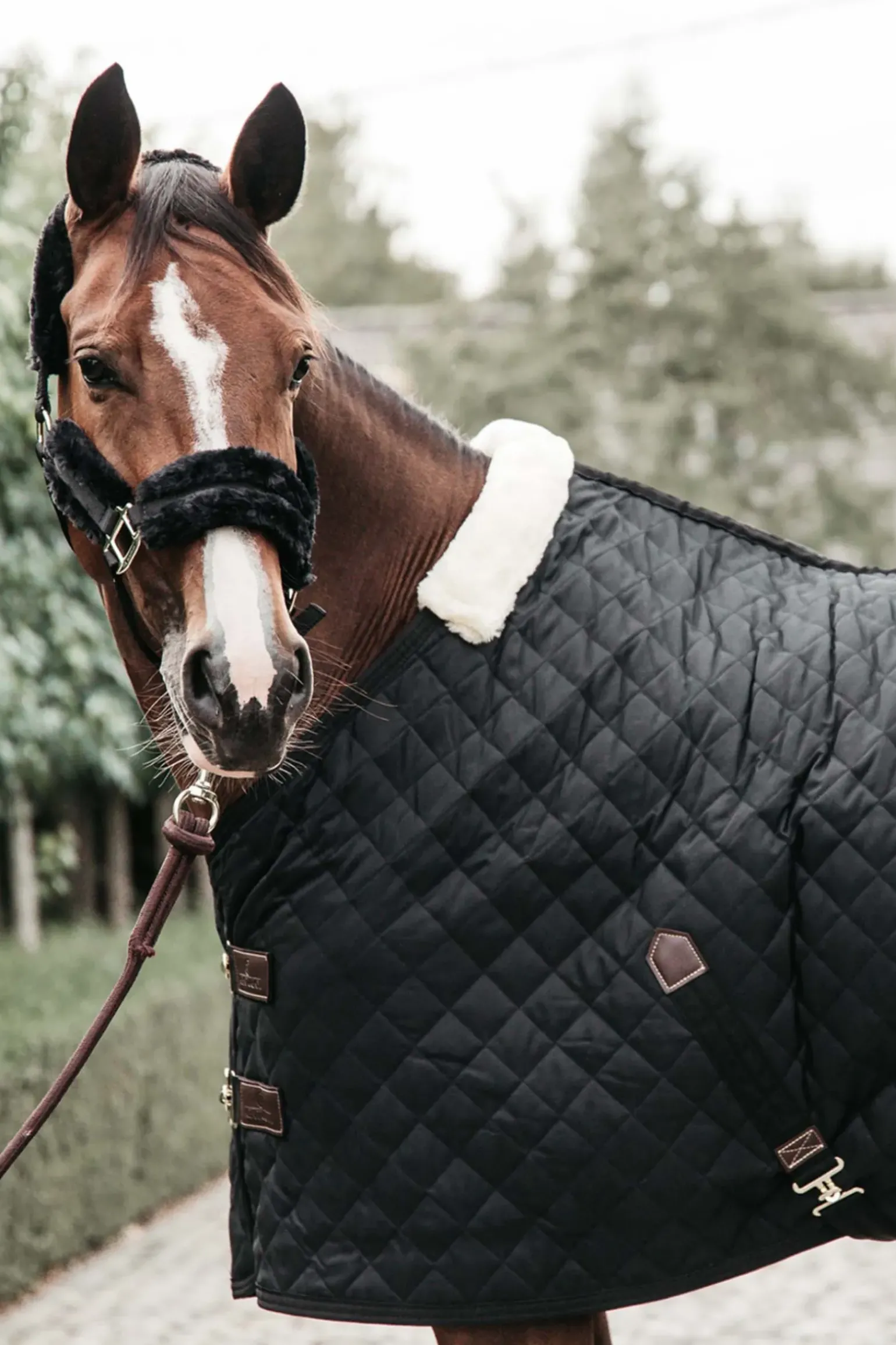Couverture D'écurie Kentucky Horsewear 400G