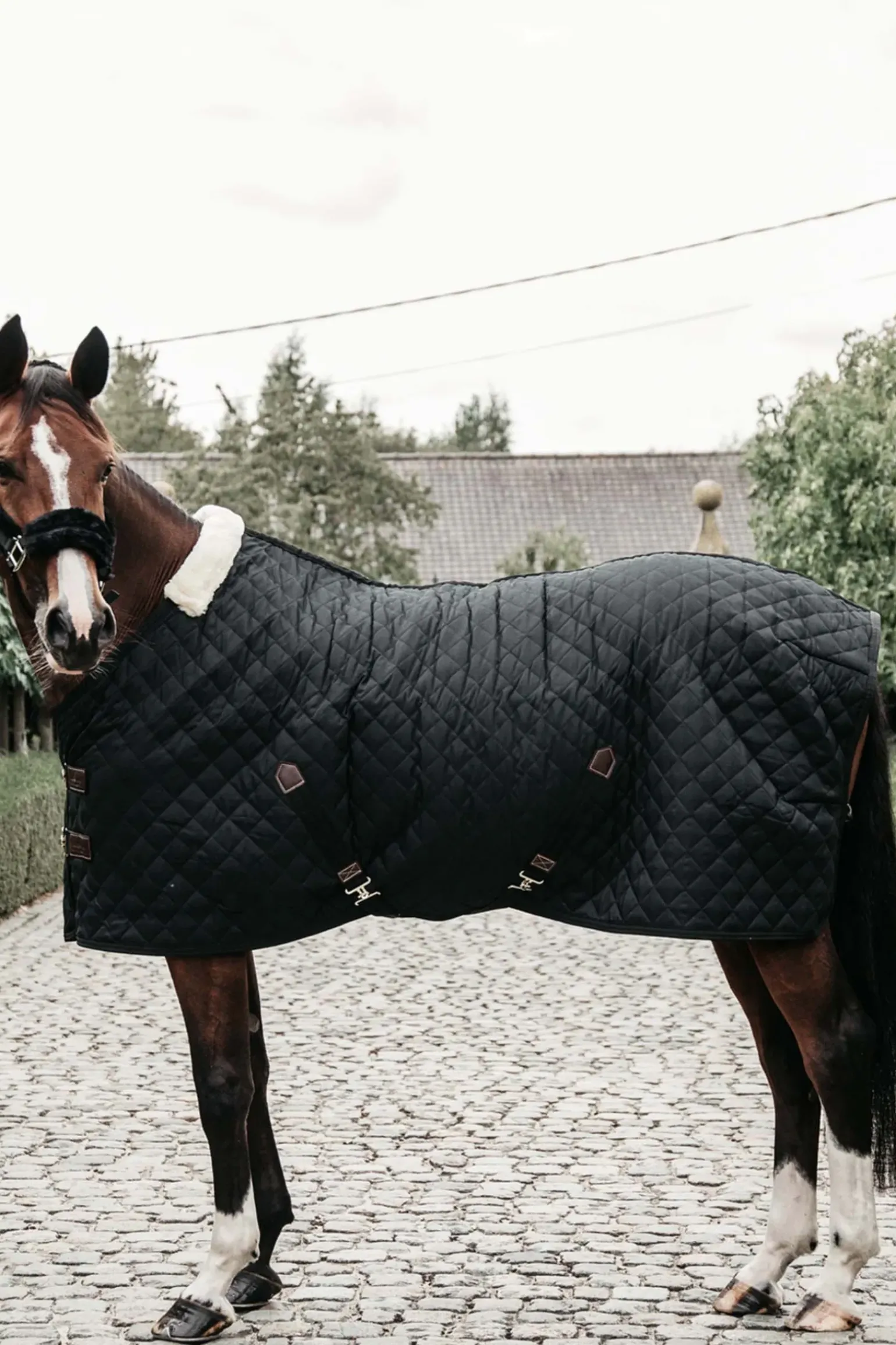 Couverture D'écurie Kentucky Horsewear 400G