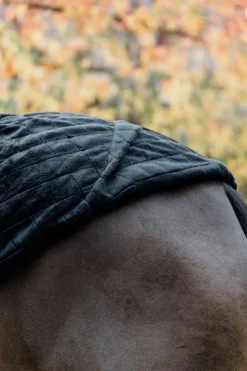 Couverture D'écurie Kentucky Horsewear 0 G