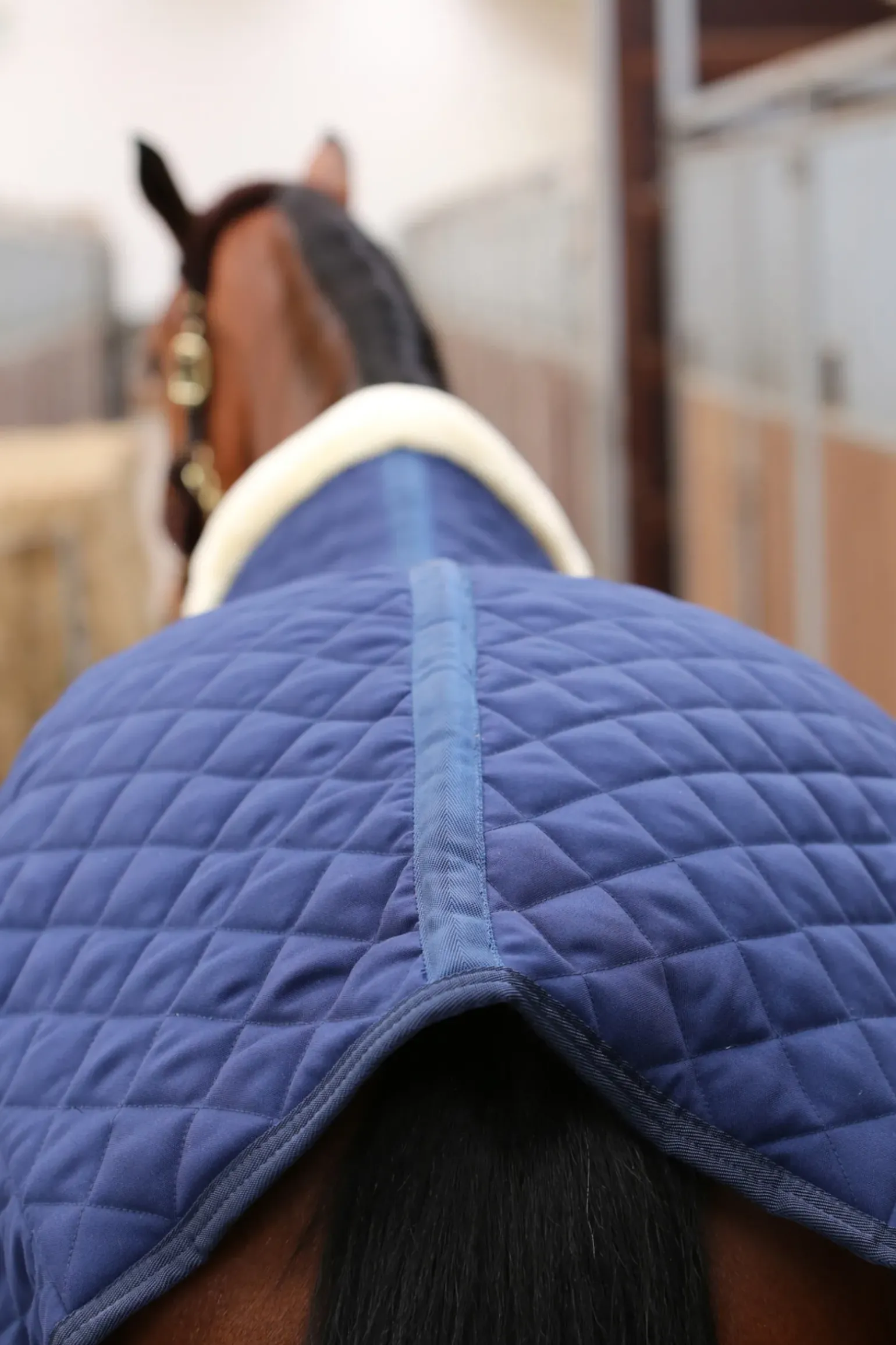 Couverture D'écurie Kentucky Horsewear 400G