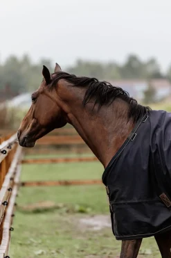 Couverture De Paddock Kentucky Horsewear 300Gr