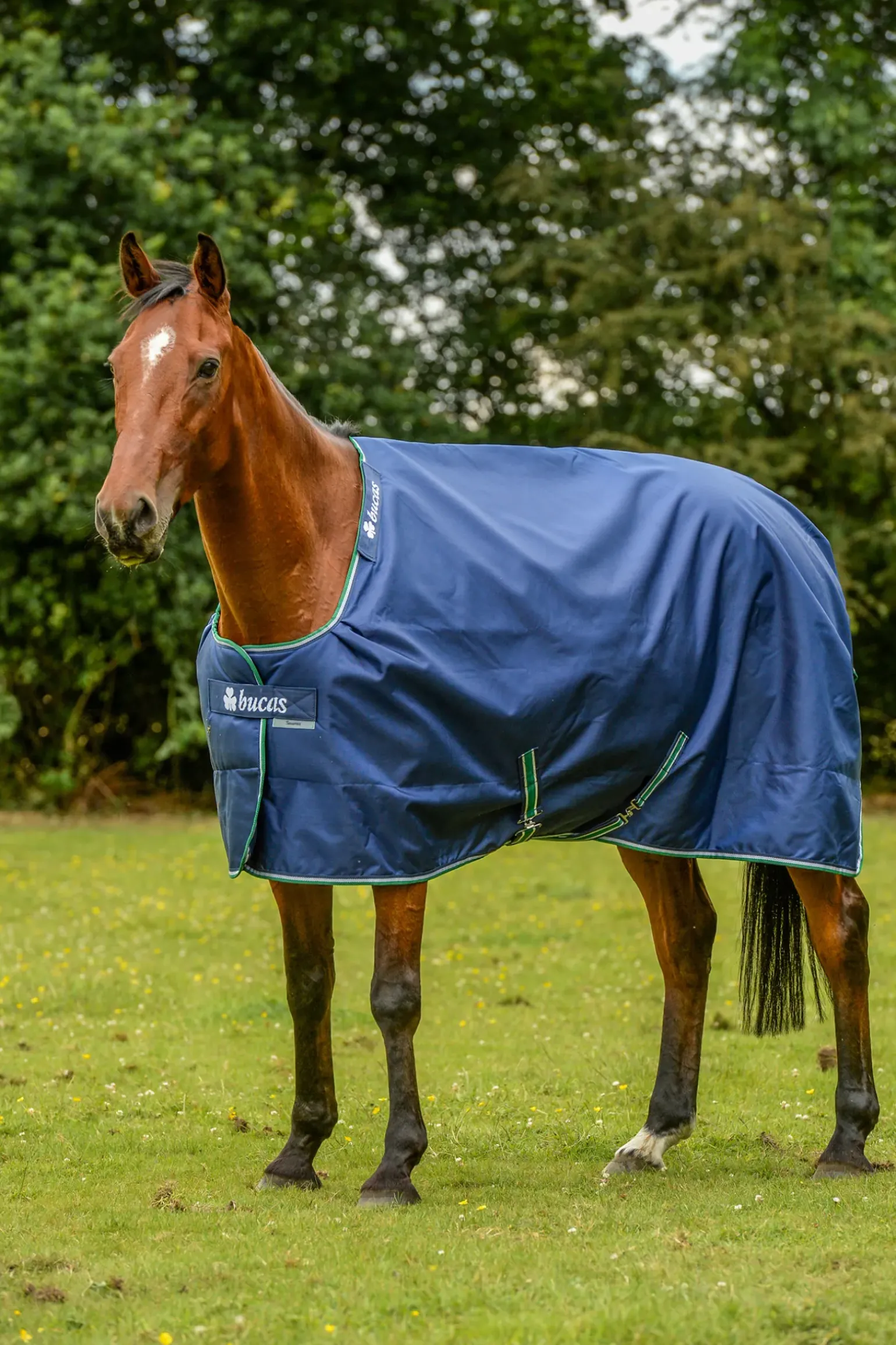 Couverture De Pluie Smartex Bucas, Grand Couvre-Cou