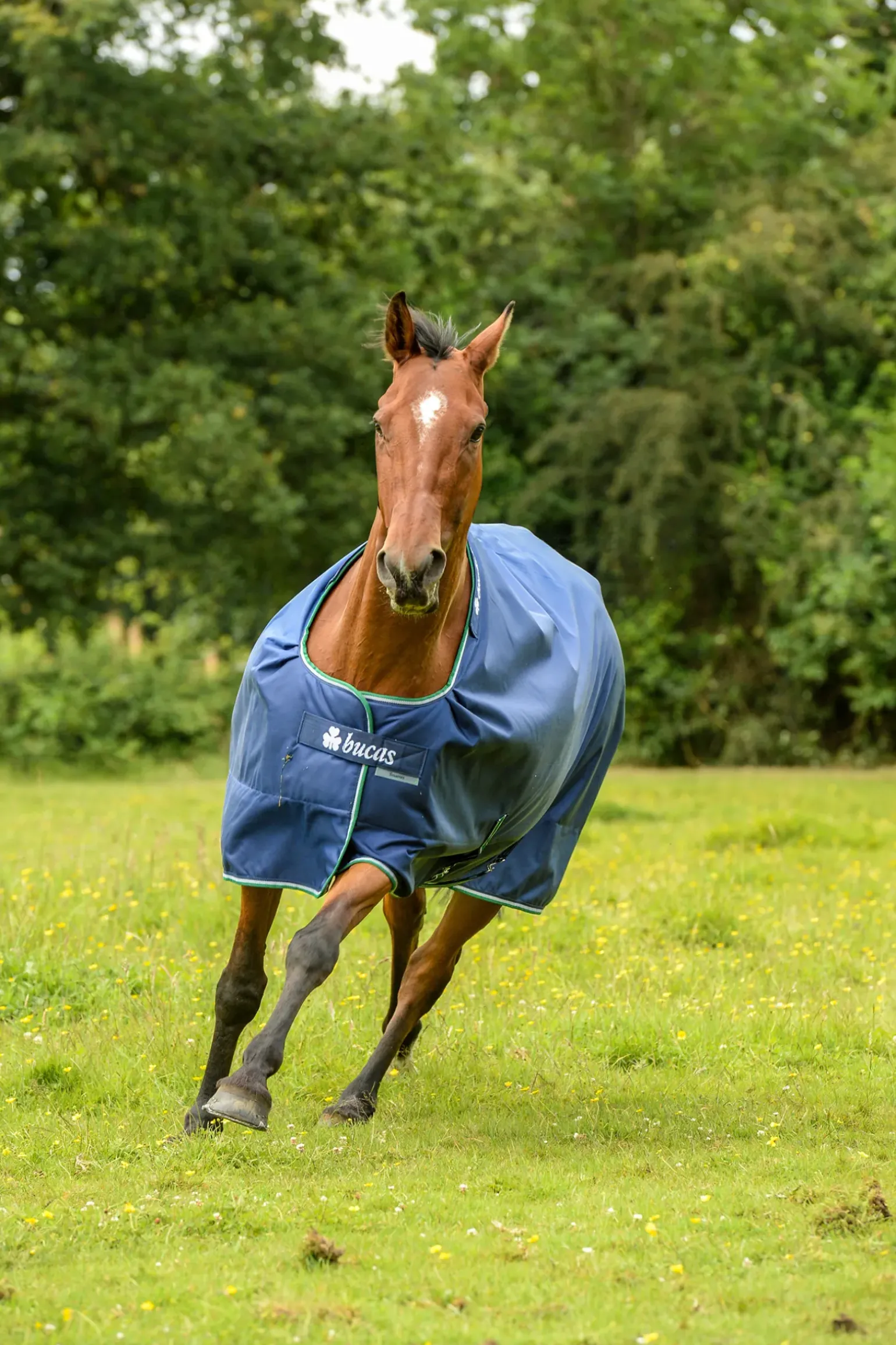 Couverture De Pluie Smartex Bucas, Grand Couvre-Cou