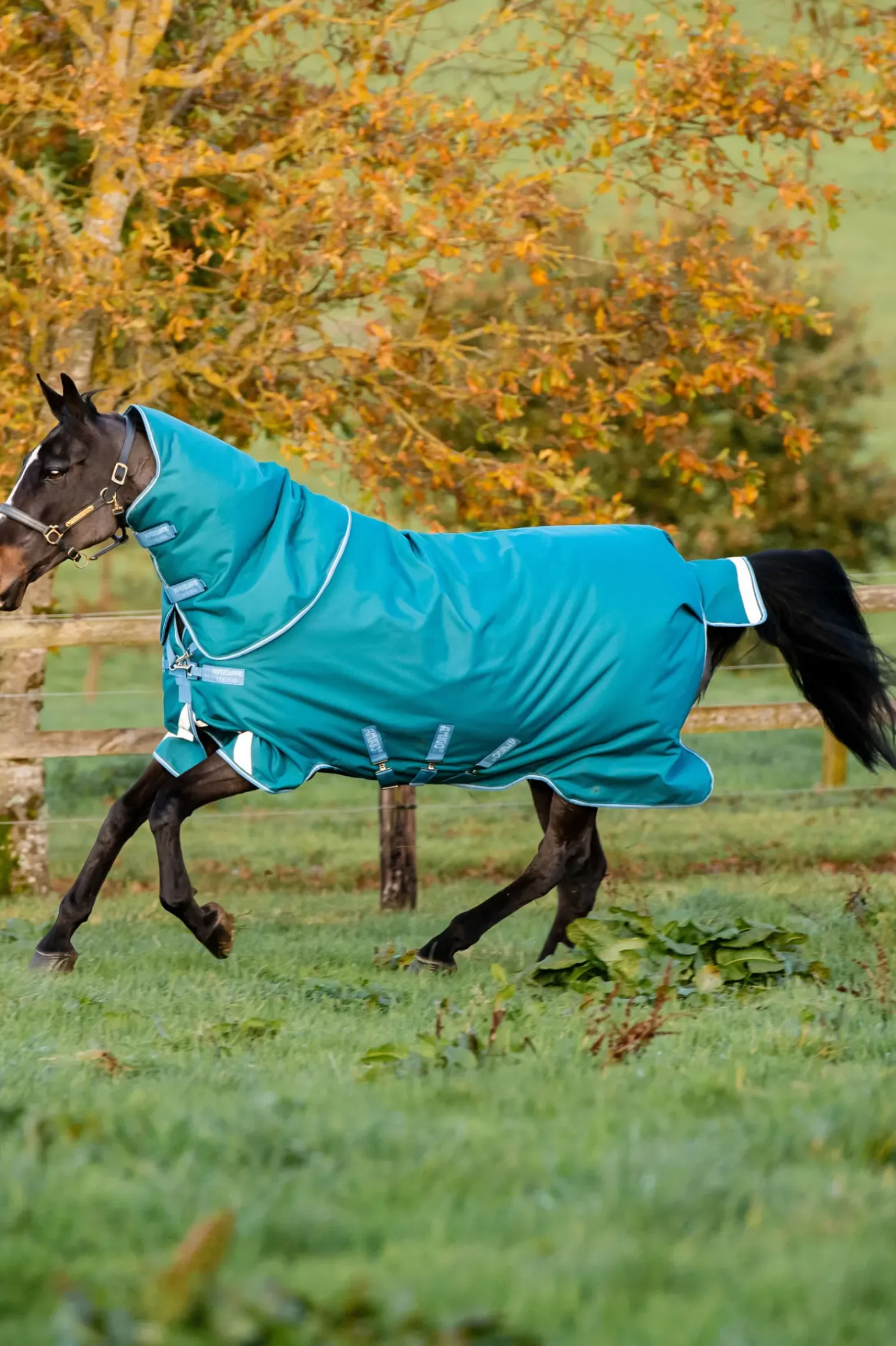 Couverture D'Exterieur Horseware Amigo Bravo 12 Plus, 400 G