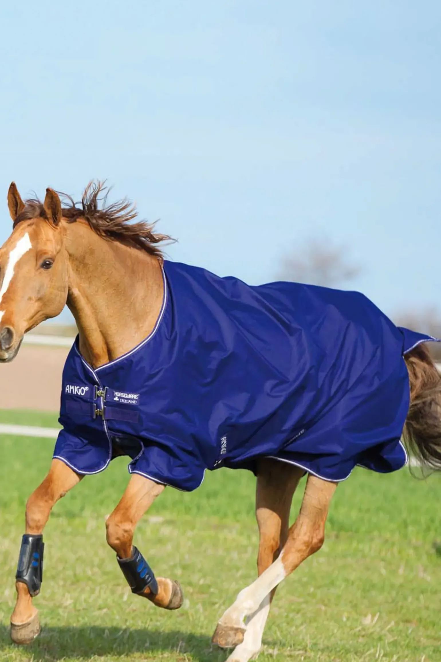 Couverture D'Exterieur Horseware Amigo Hero 900 T / O Medium, 200 G