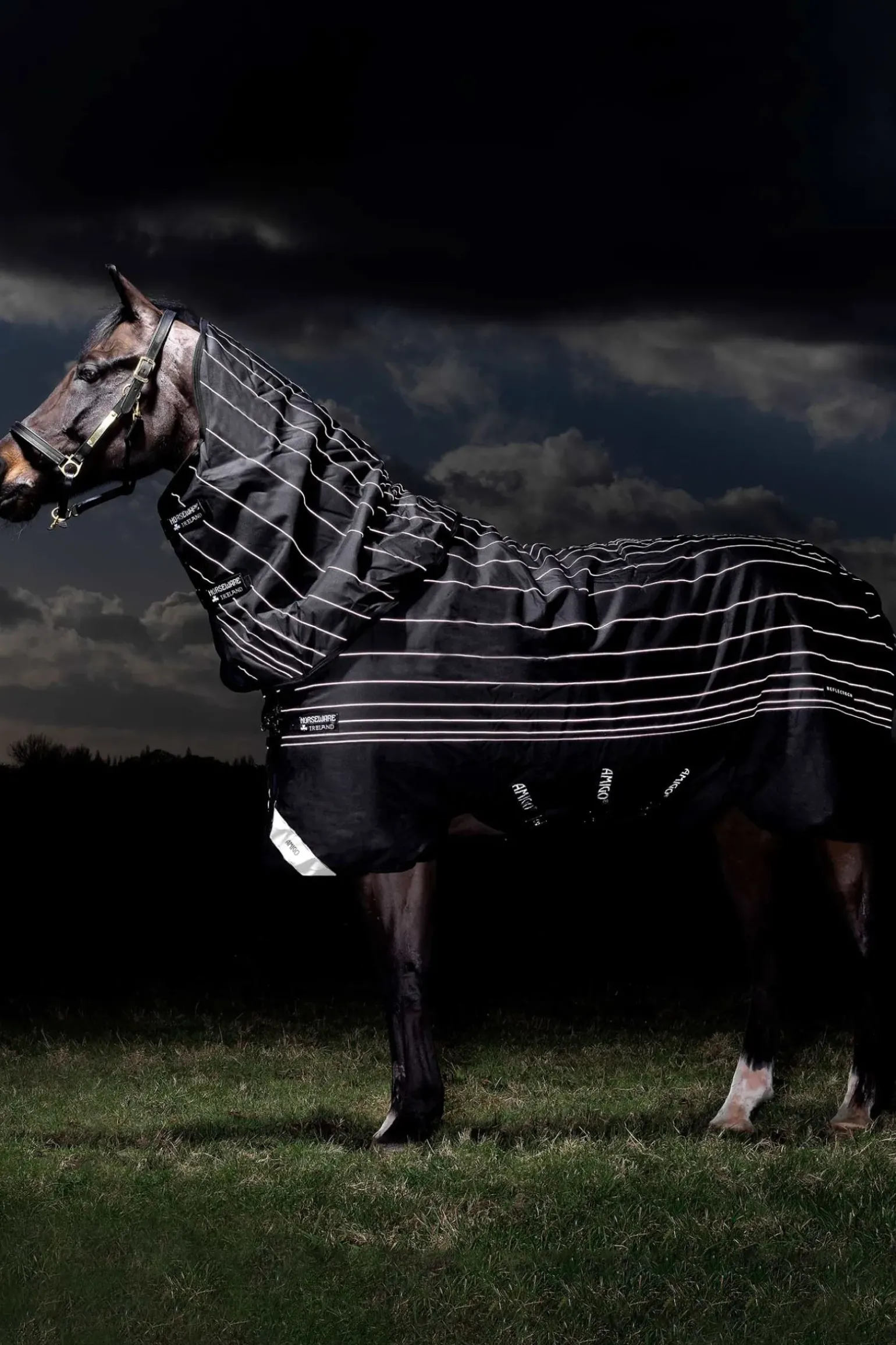 Couverture D'Exterieur Horseware Amigo Bravo 12 Reflective Plus Avec Couvre-Encolure Amovible, 250 G