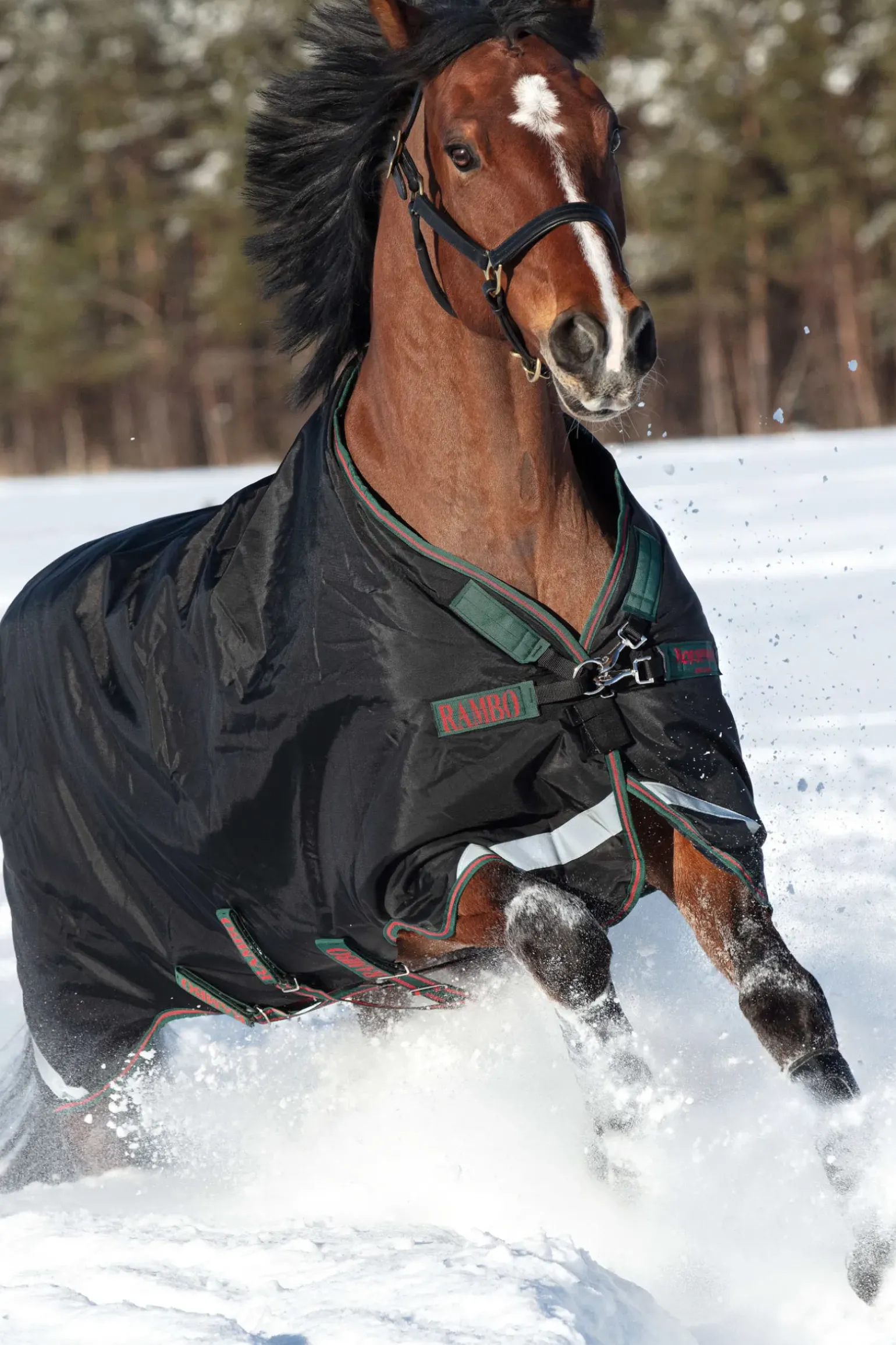 Couverture D'Exterieur Horseware Rambo Original Avec Soufflets D'Aisance, 200 G