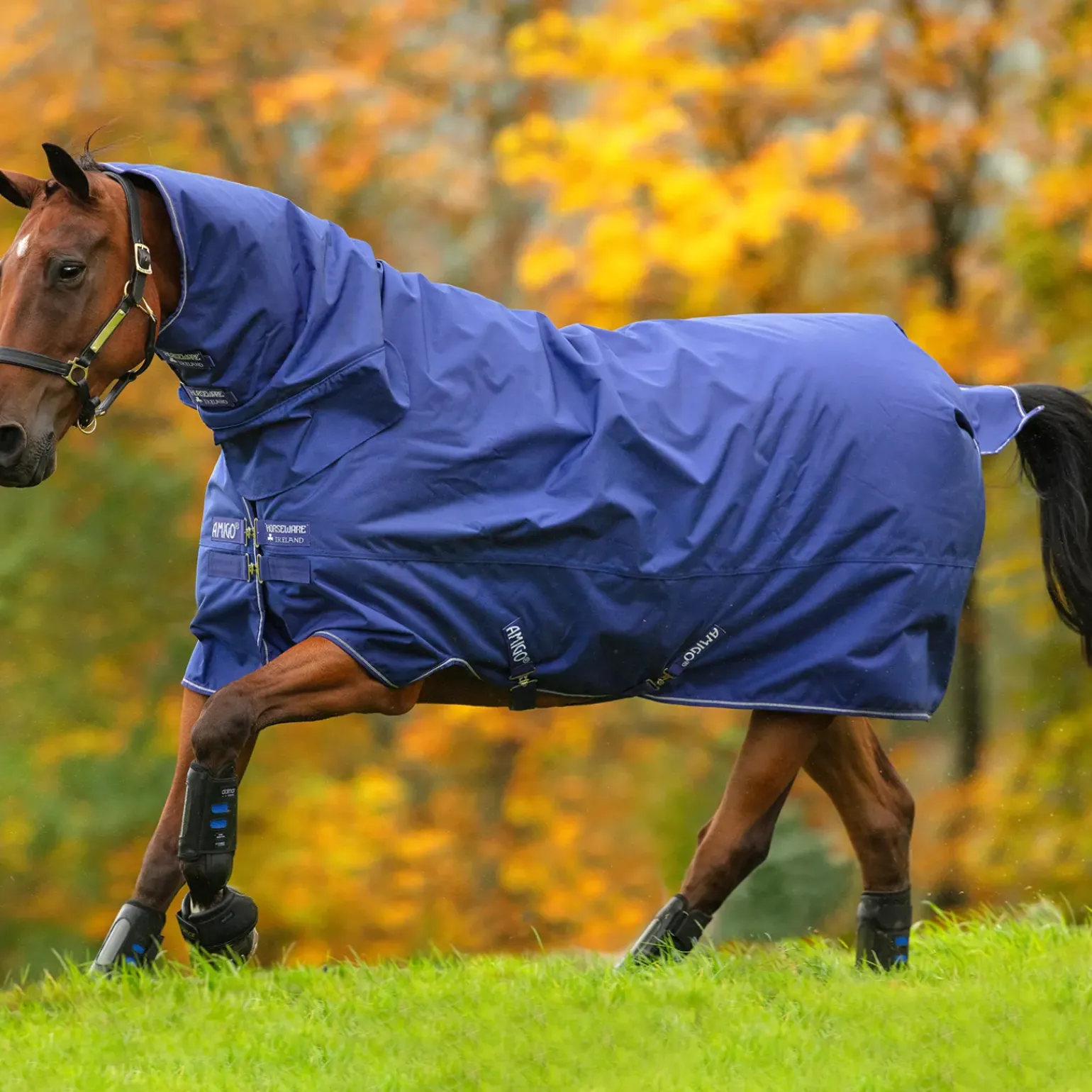 Couverture D'Exterieur Horseware Amigo Hero 900 Tout-En-Un Avec Couvre-Encolure Integre, 200G