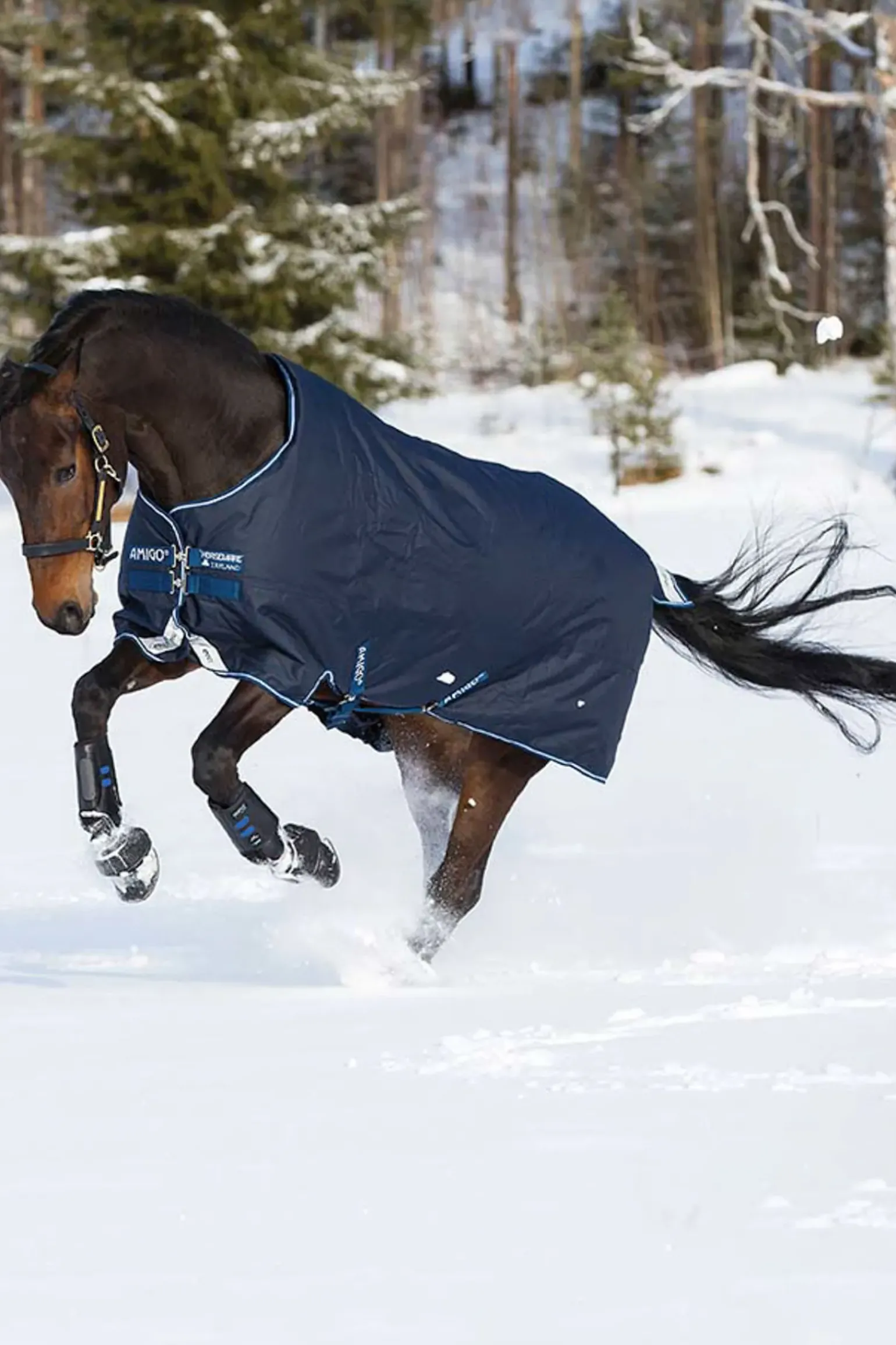 Couverture D'Exterieur Horseware Amigo Bravo 12 W/La, 400G.