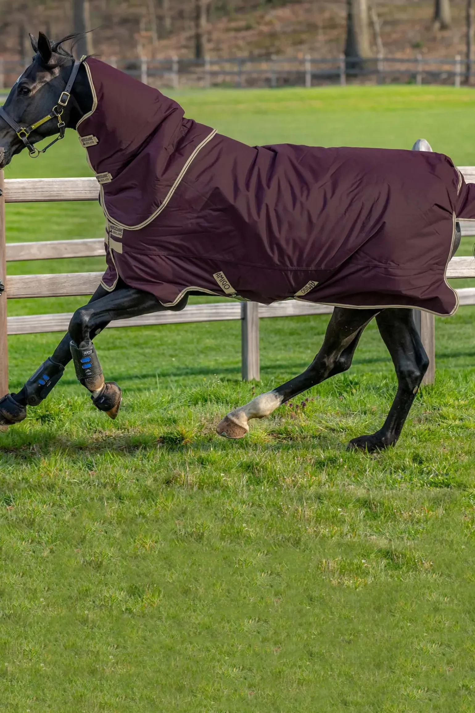Couverture D'Exterieur Horseware Amigo Hero Ripstop Antidechirure Plus Lite Legere Avec Couvre-Encolure Amovible, 0 G