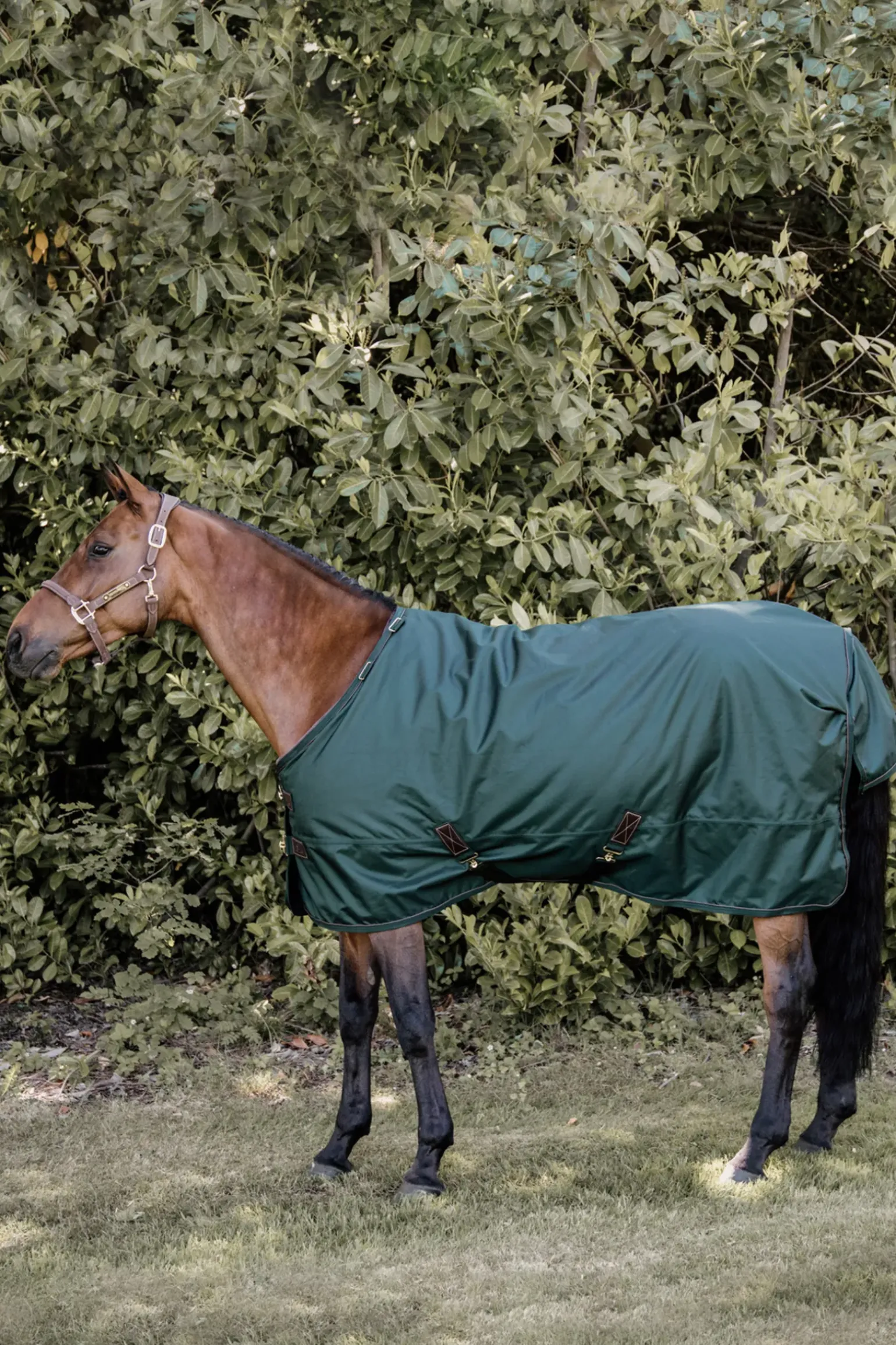 Couverture D'Exterieur Kentucky Horsewear Tout Temps 160 G