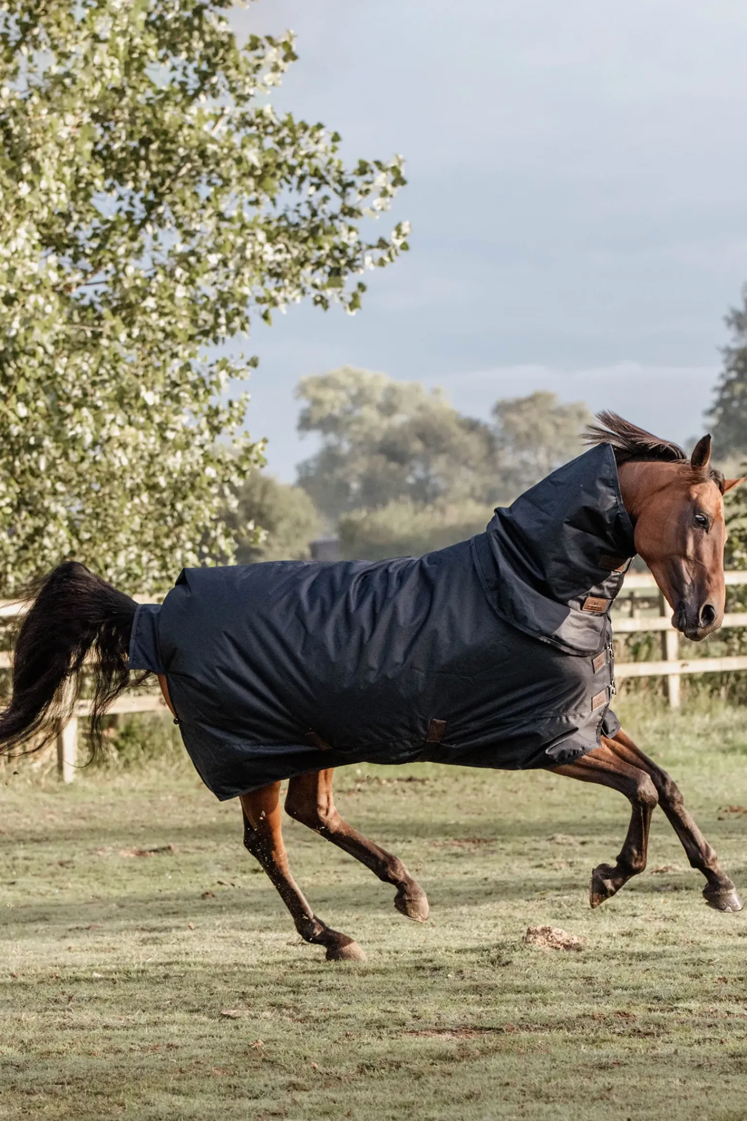Couverture D'Exterieur Tout Temps Impermeable Kentucky Horsewear Classic, 150 G