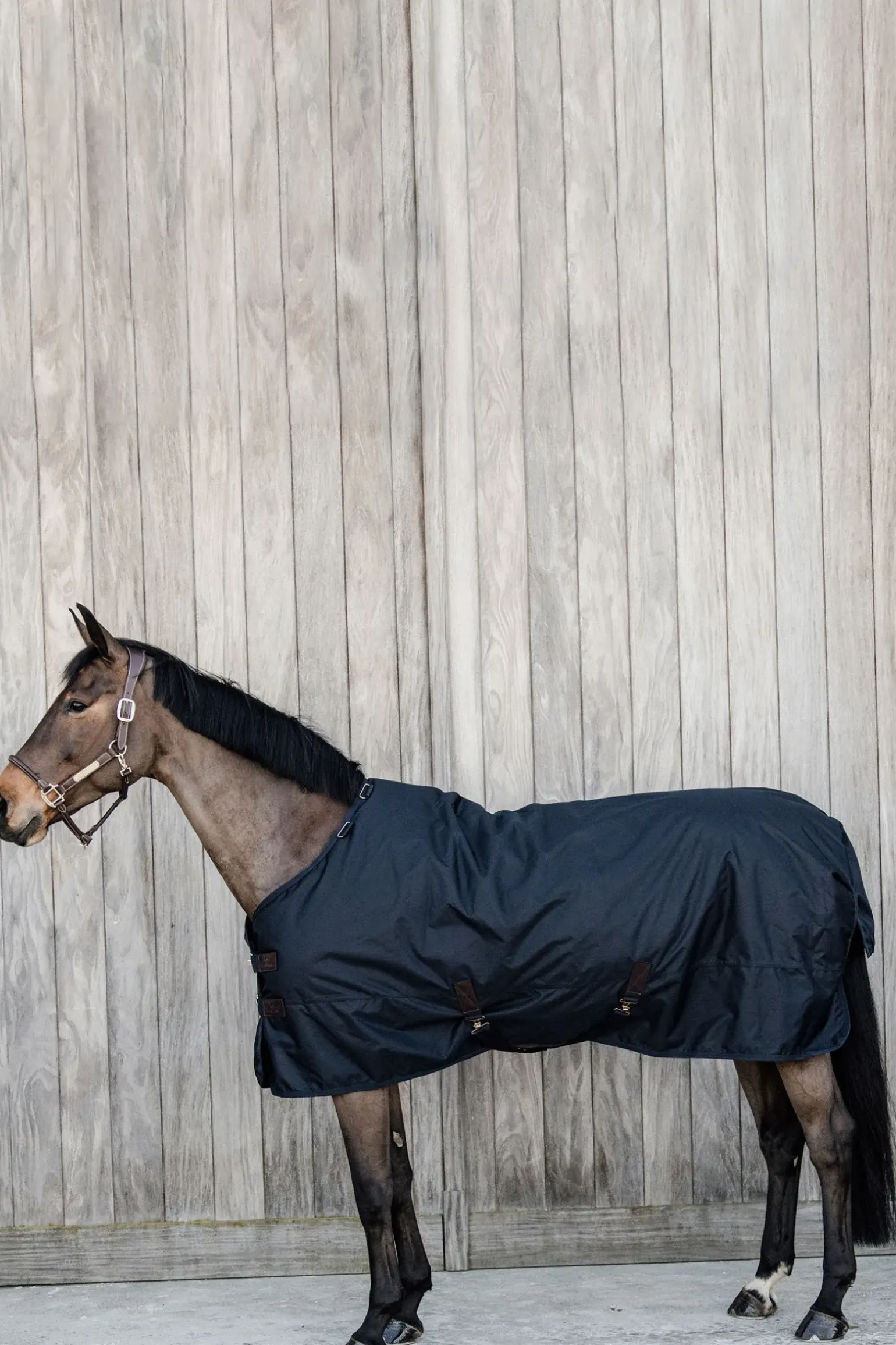 Couverture D'Exterieur Tout Temps Impermeable Kentucky Horsewear Classic, 150 G