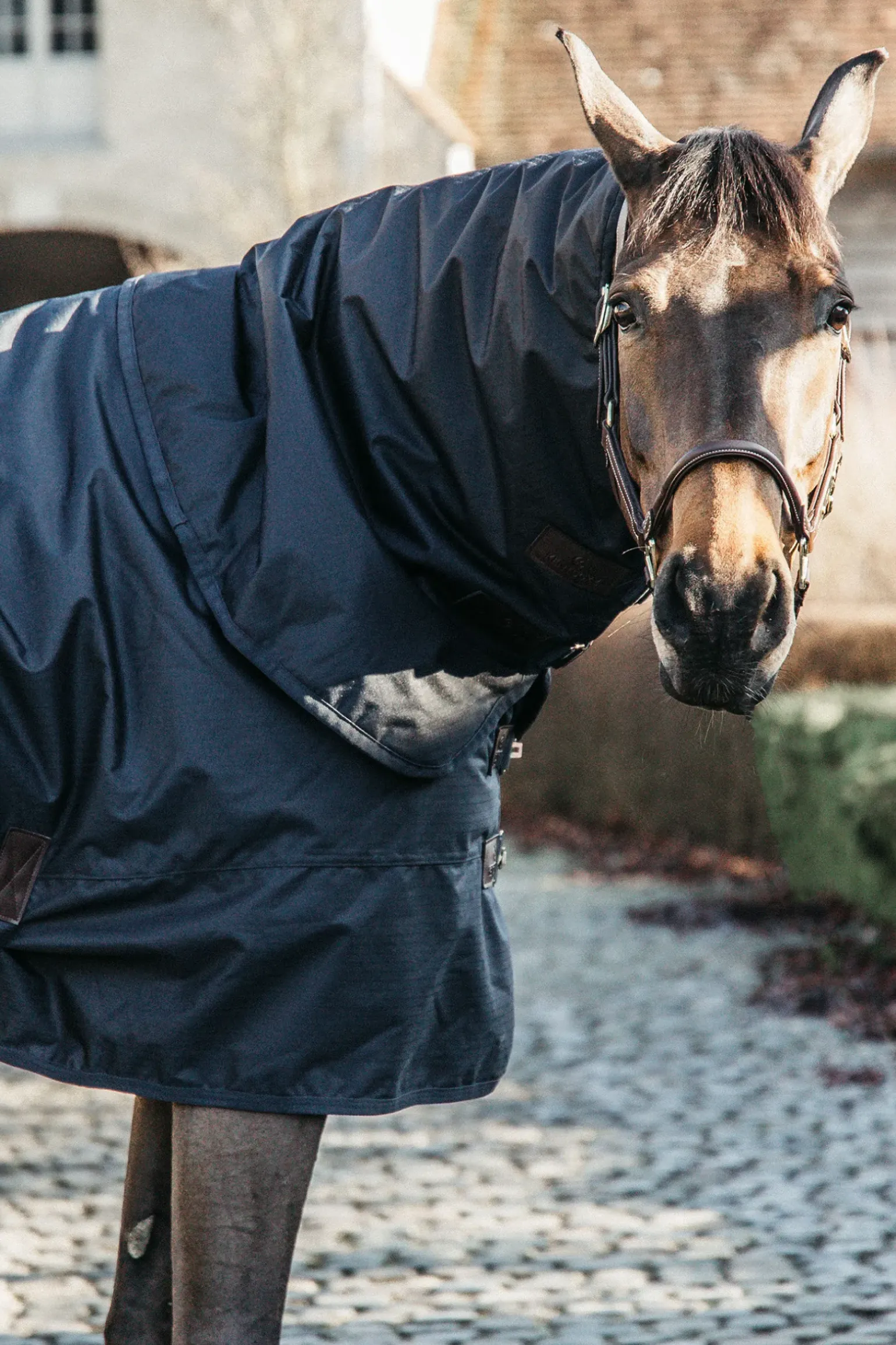 Couverture D'Exterieur Tout Temps Impermeable Kentucky Horsewear Classic, 150 G
