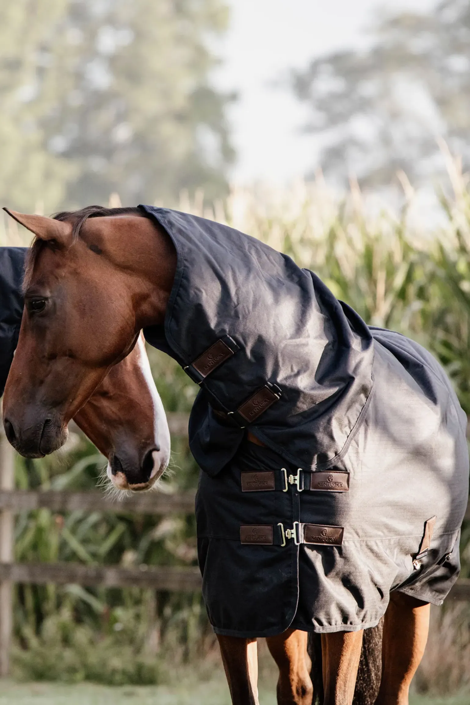 Couverture D'Exterieur Tout Temps Impermeable Kentucky Horsewear Classic, 150 G