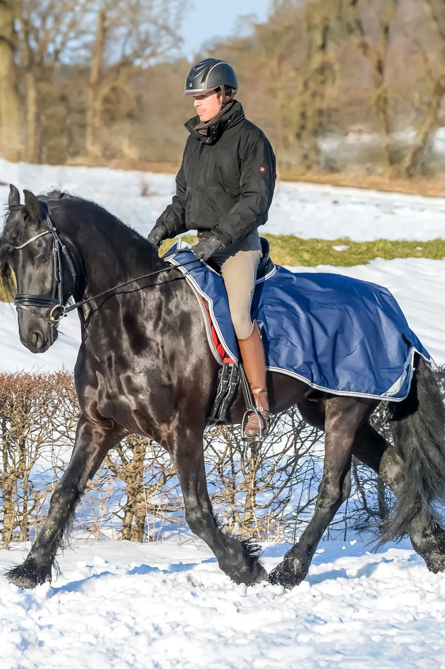 Couverture D'équitation Freedom Bucas